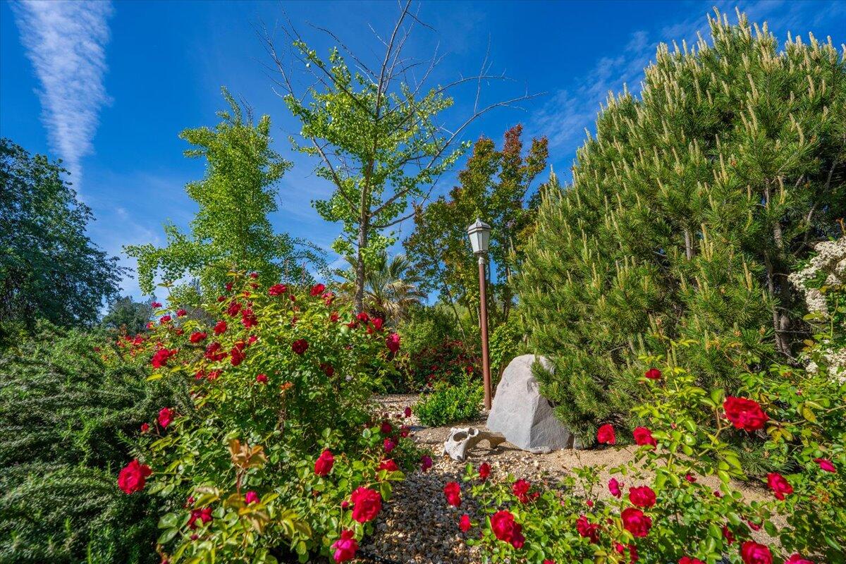 main property photo 106