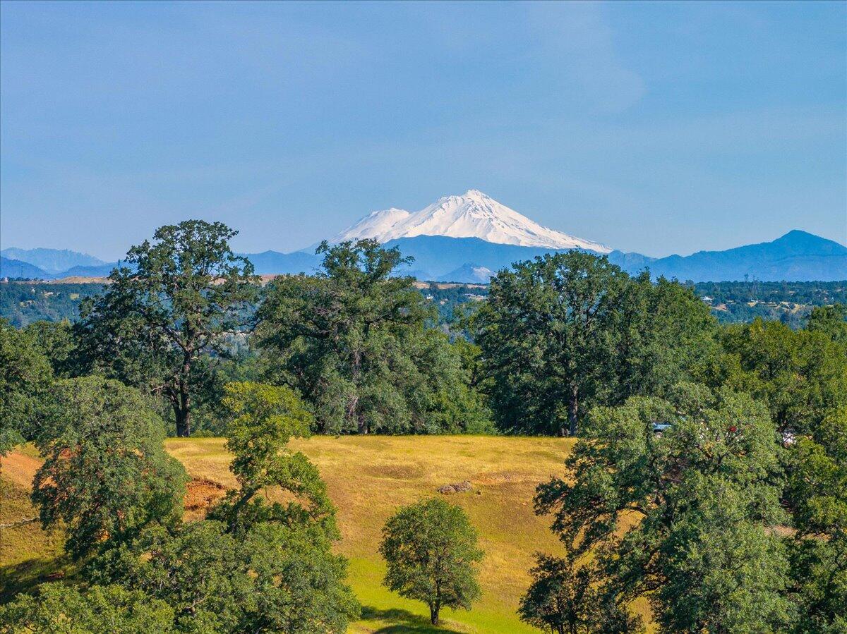 main property photo 70