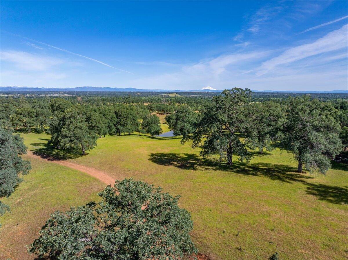 main property photo 72