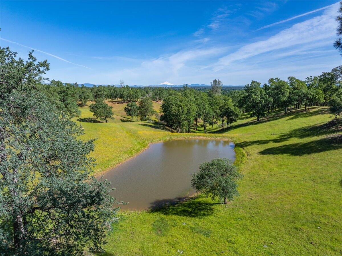 main property photo 75