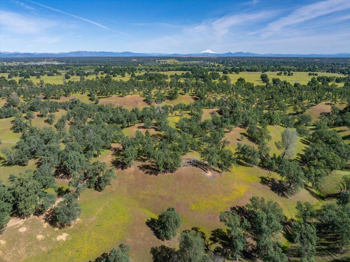main property photo 76