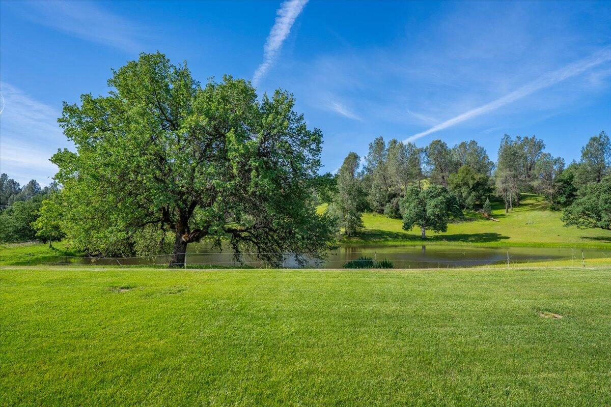 main property photo 90