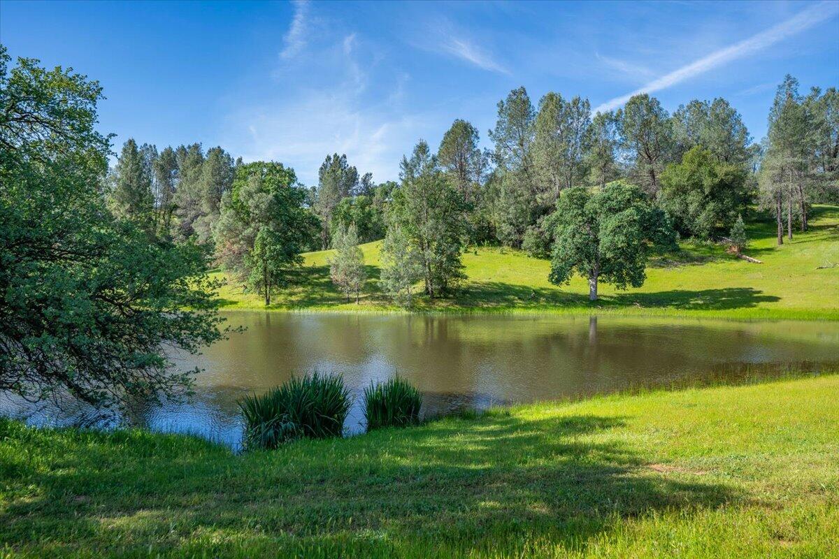 main property photo 91