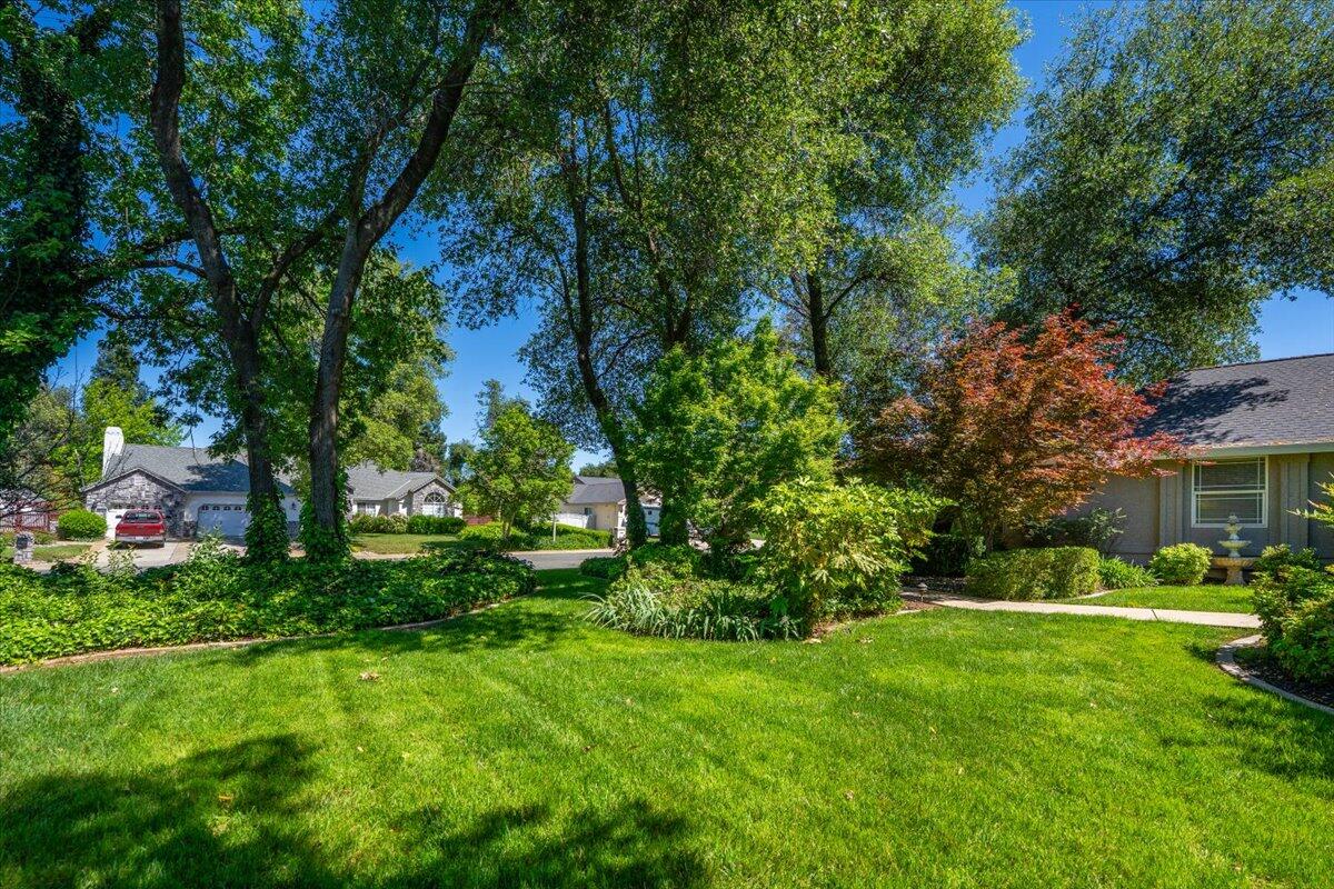 main property photo 64