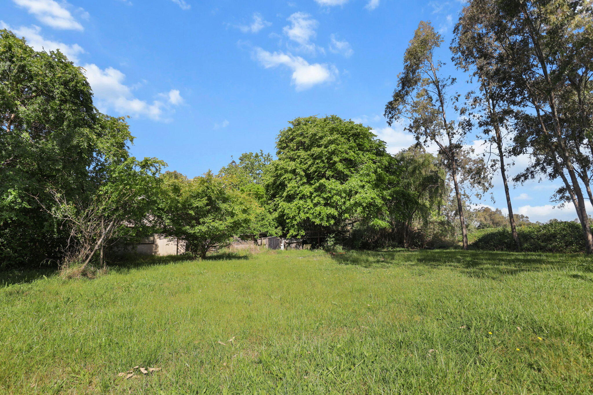 main property photo 41