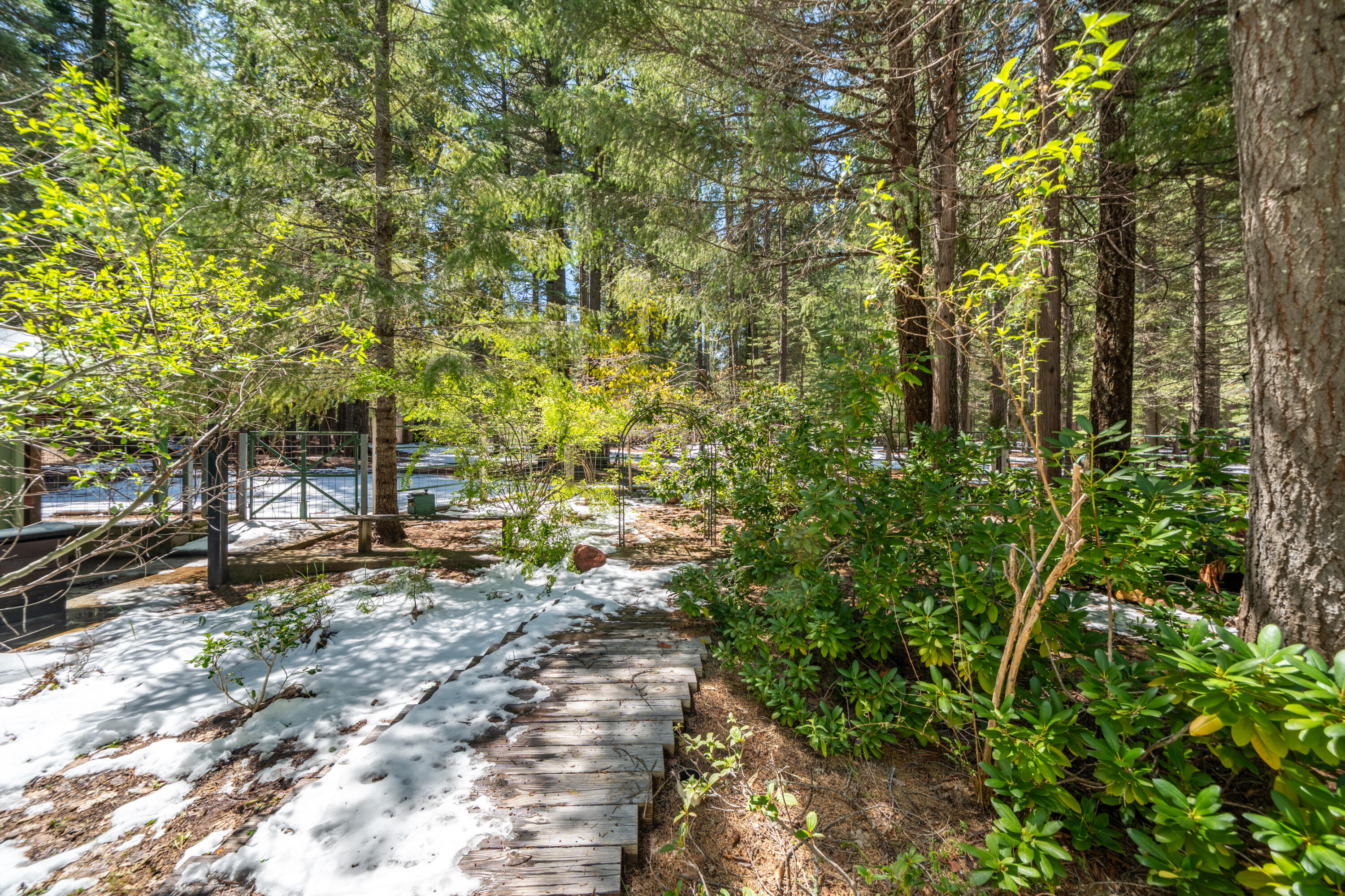 main property photo 61