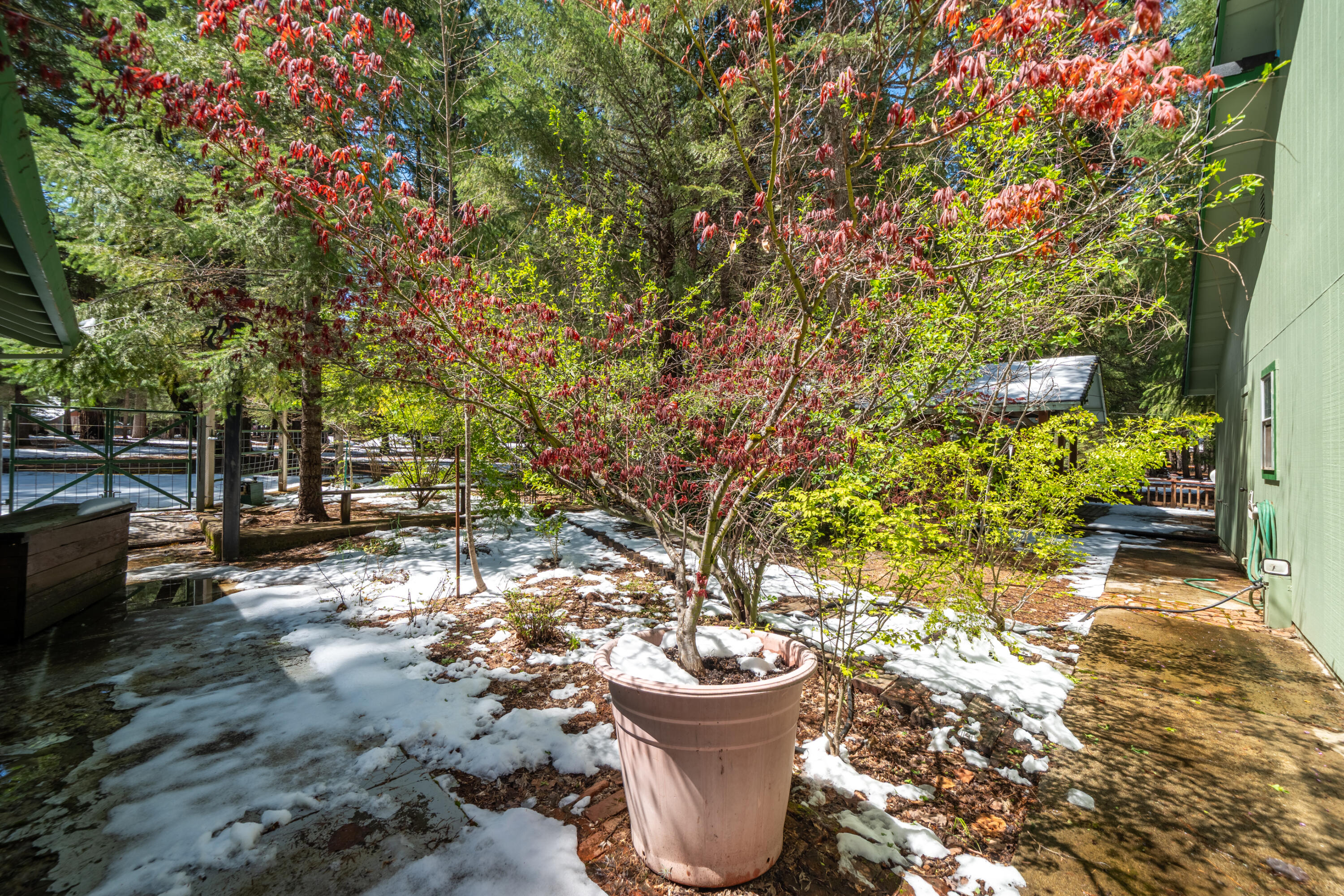 main property photo 62