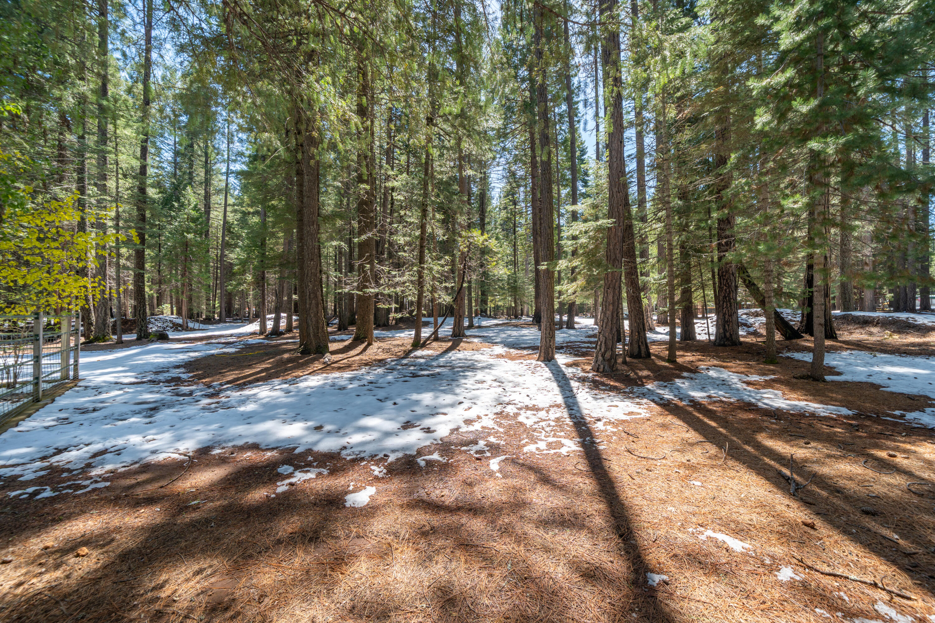 main property photo 71