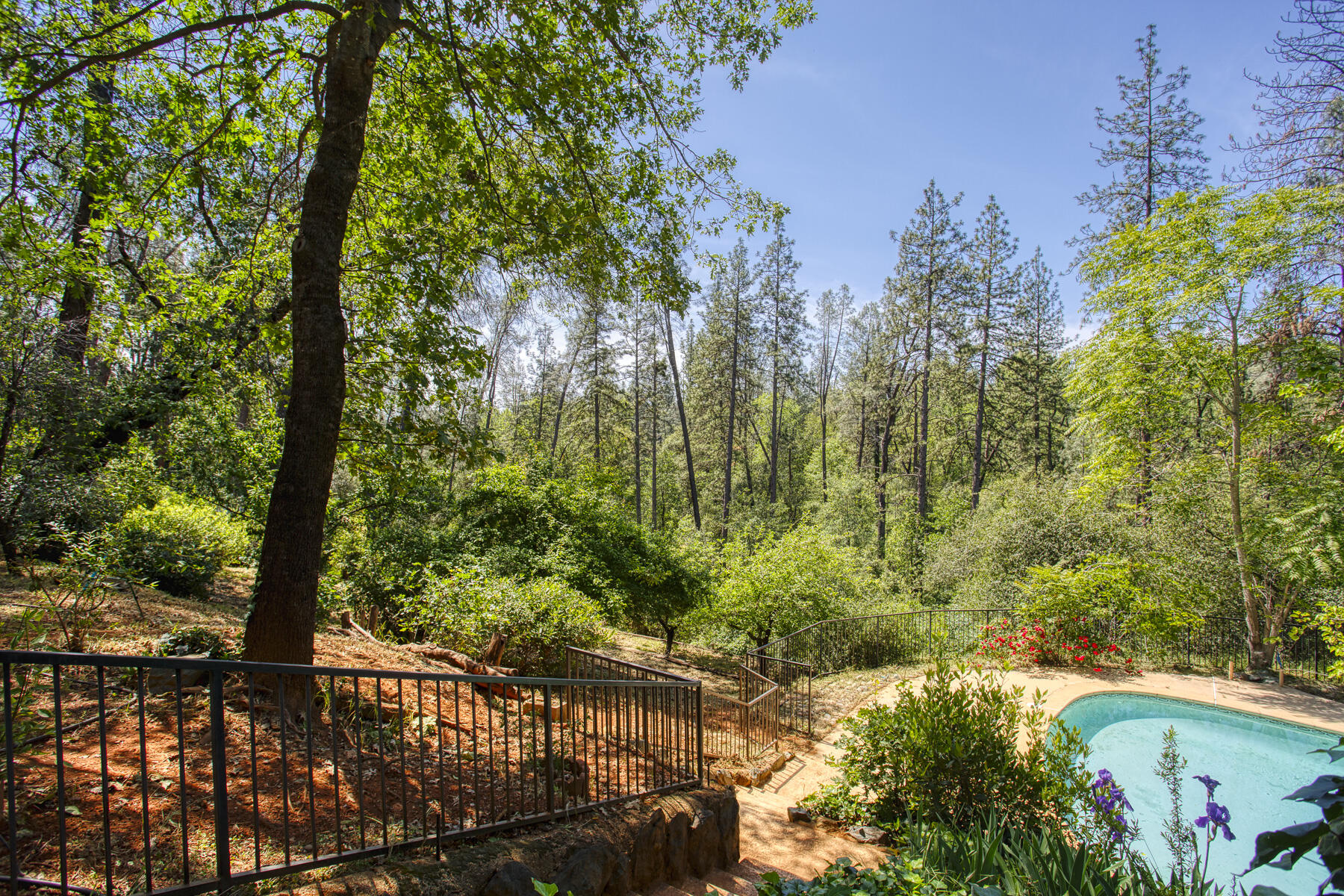 main property photo 23