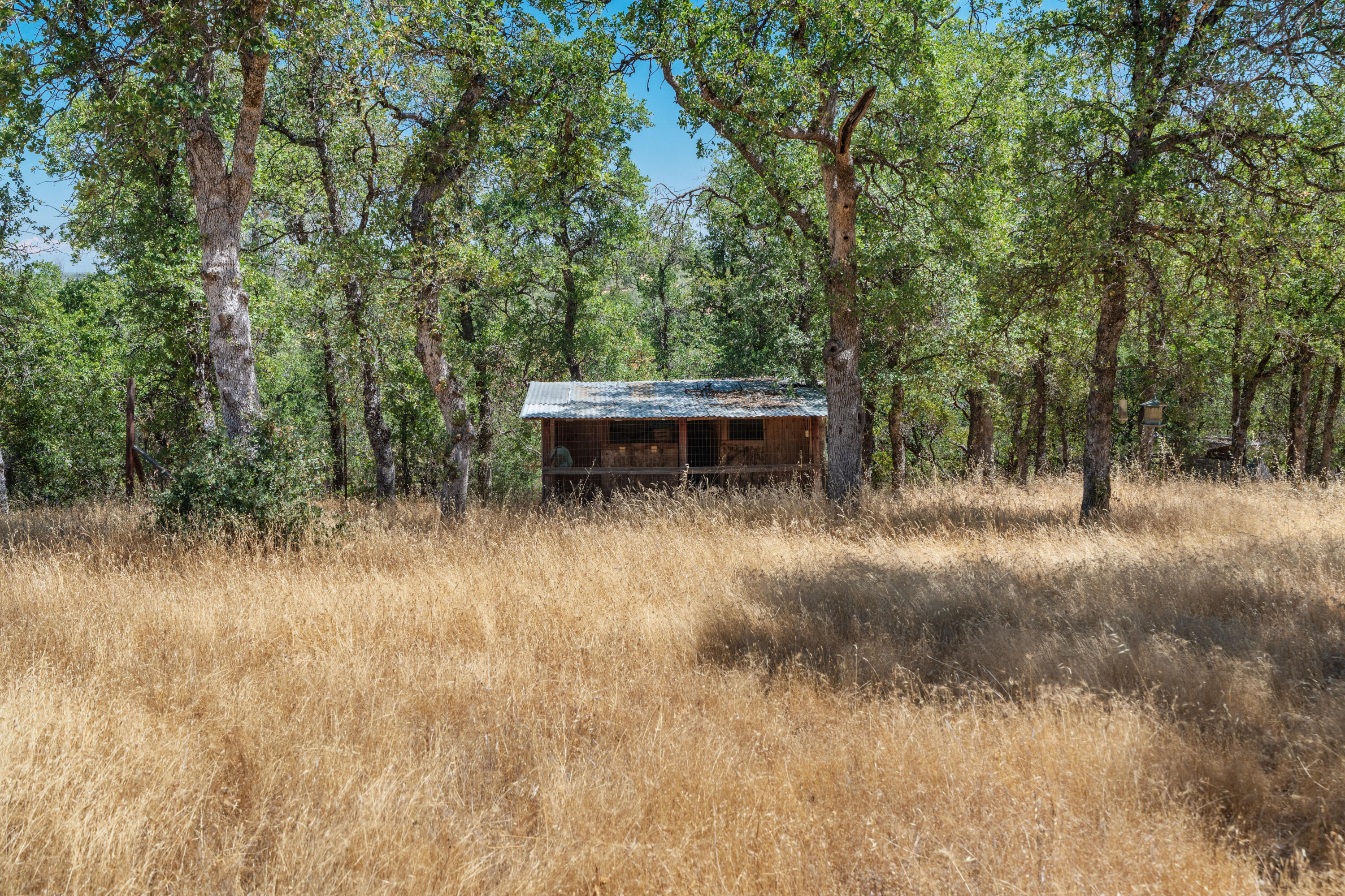 main property photo 25