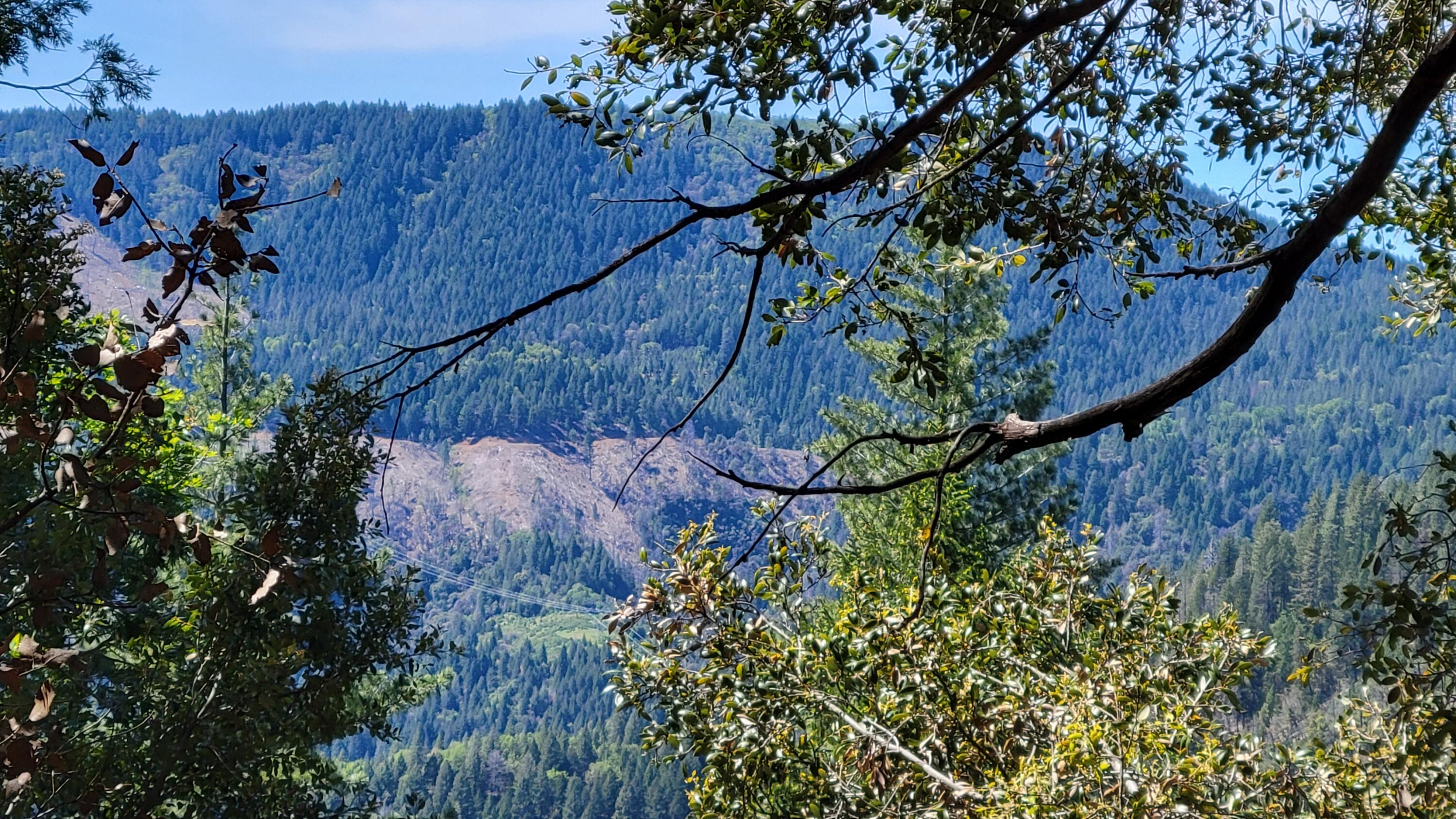 main property photo 18