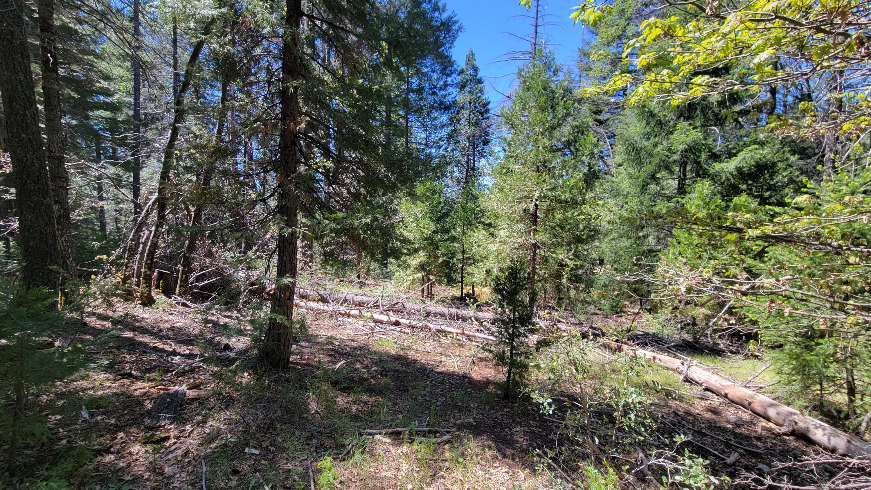 main property photo 21