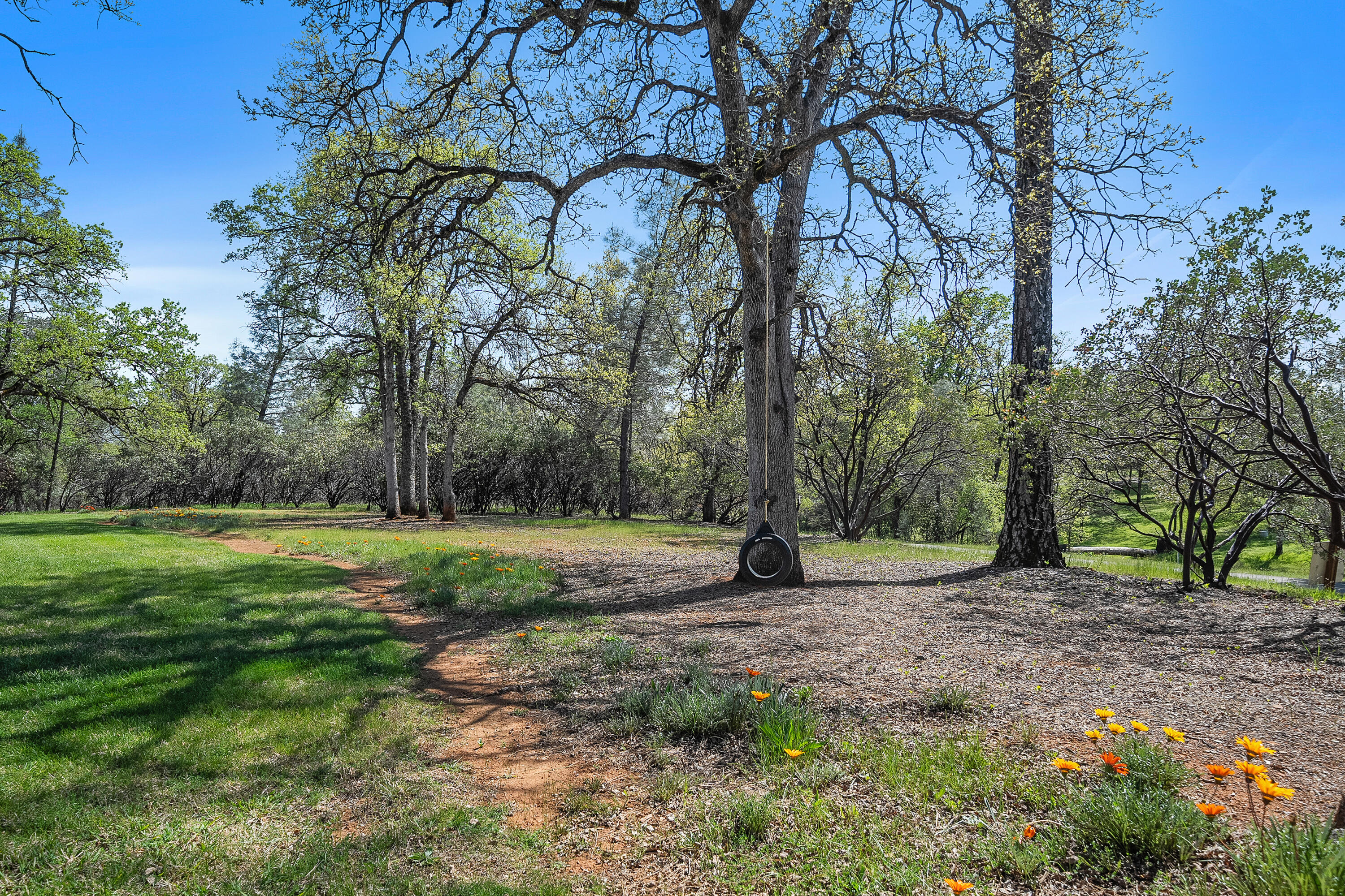 main property photo 53