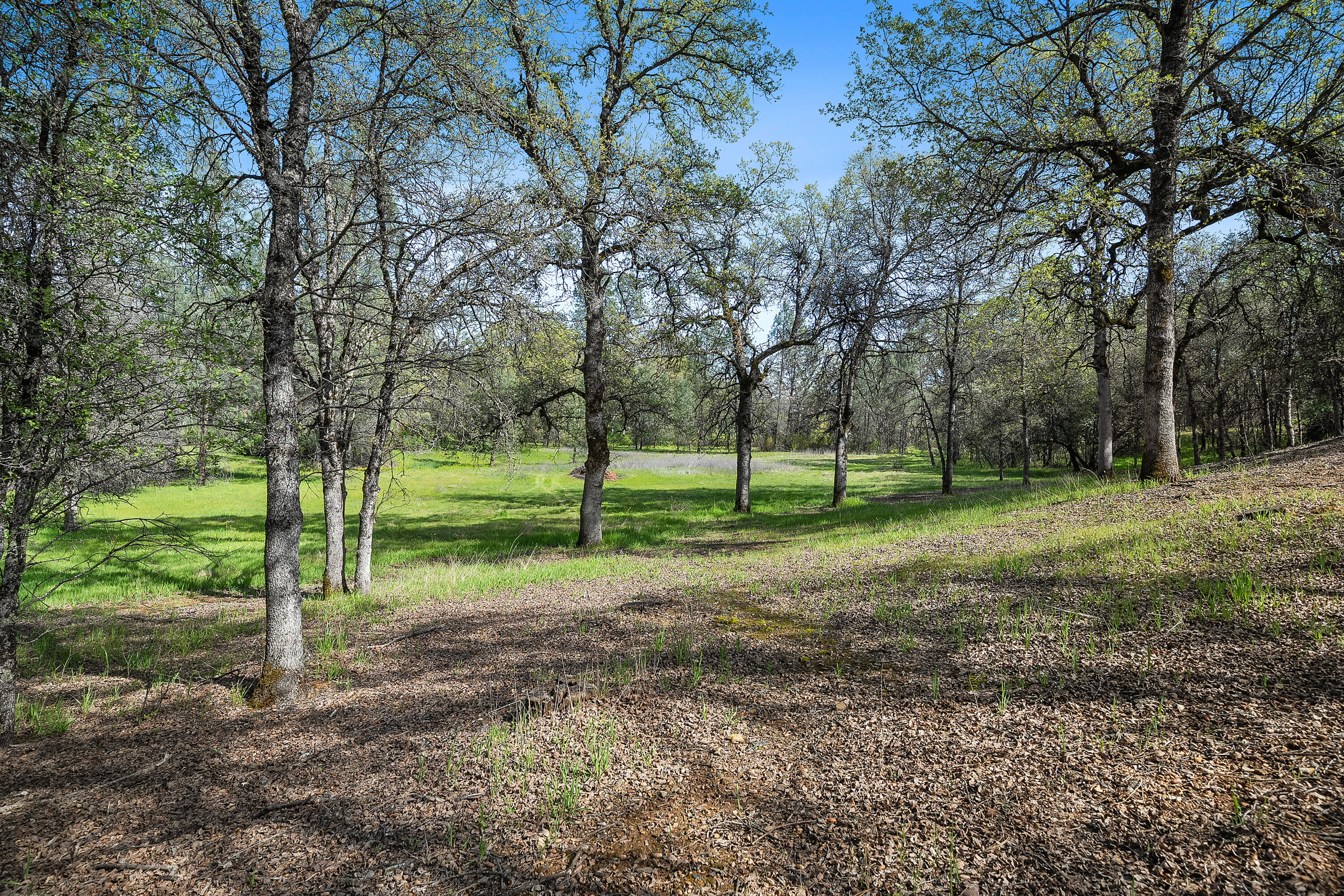 main property photo 56