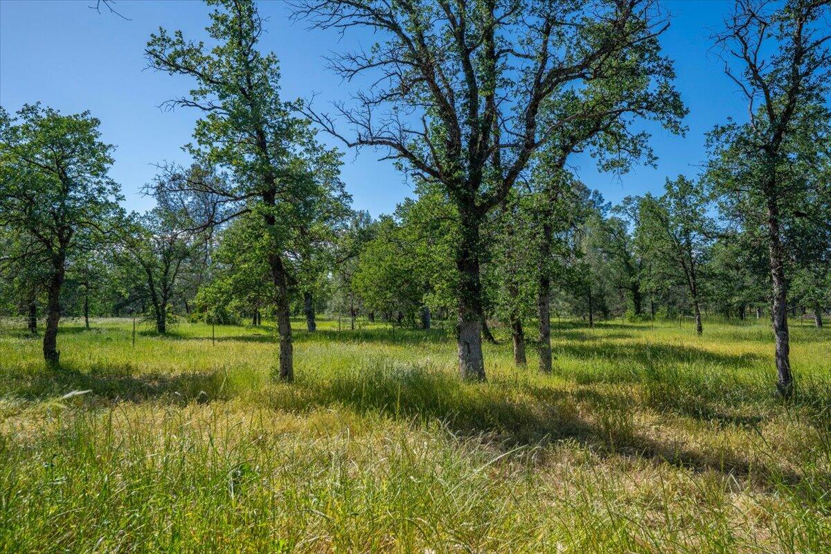 main property photo 72