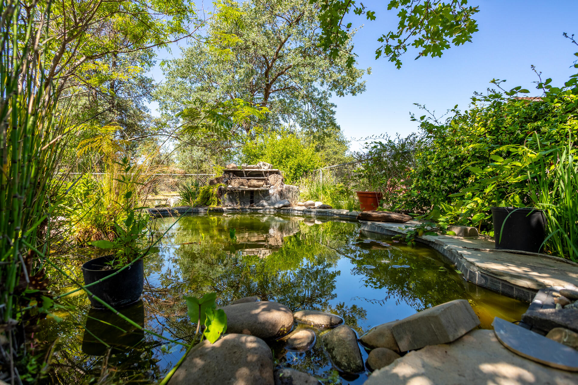 main property photo 30
