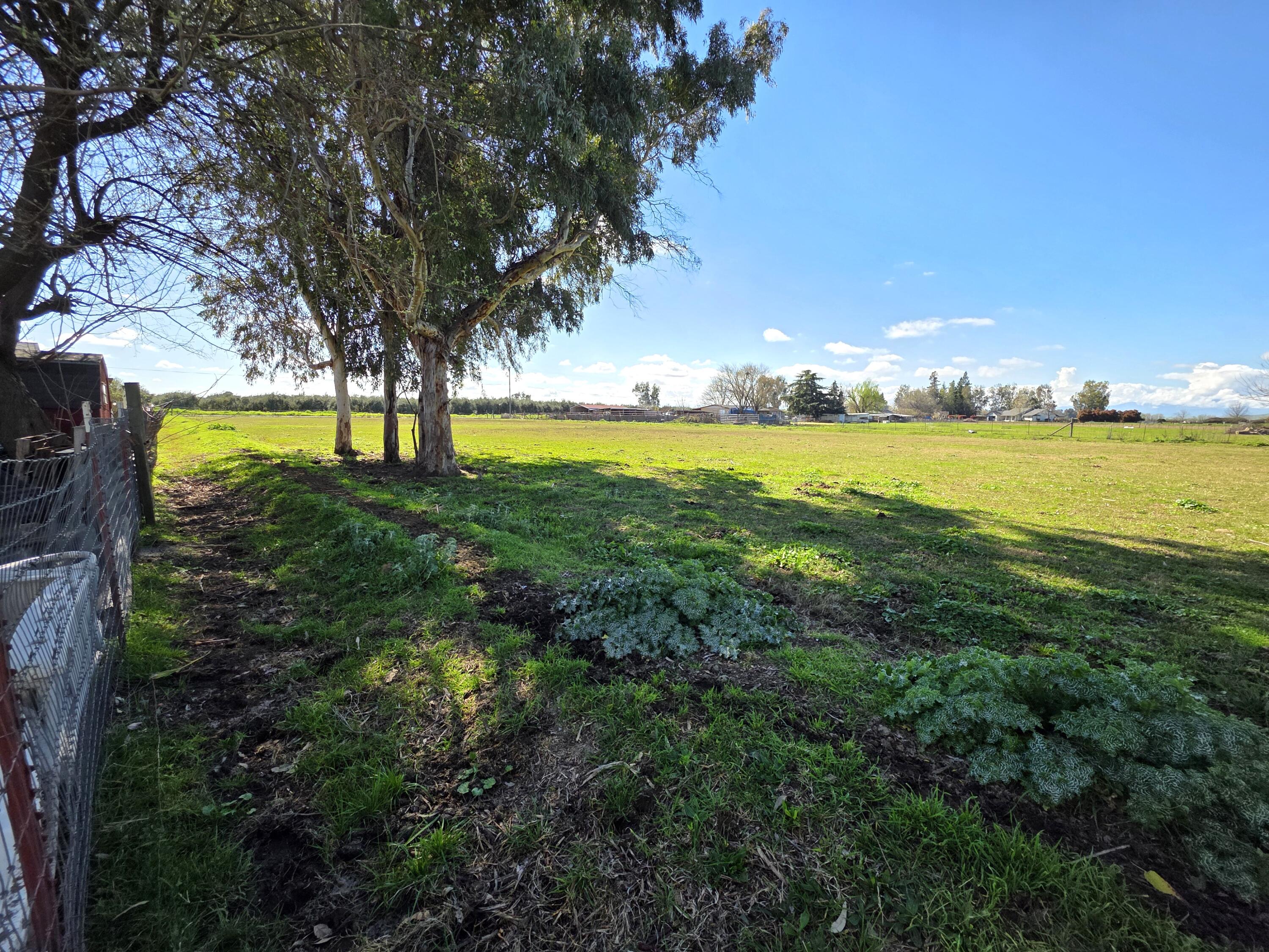 main property photo 46