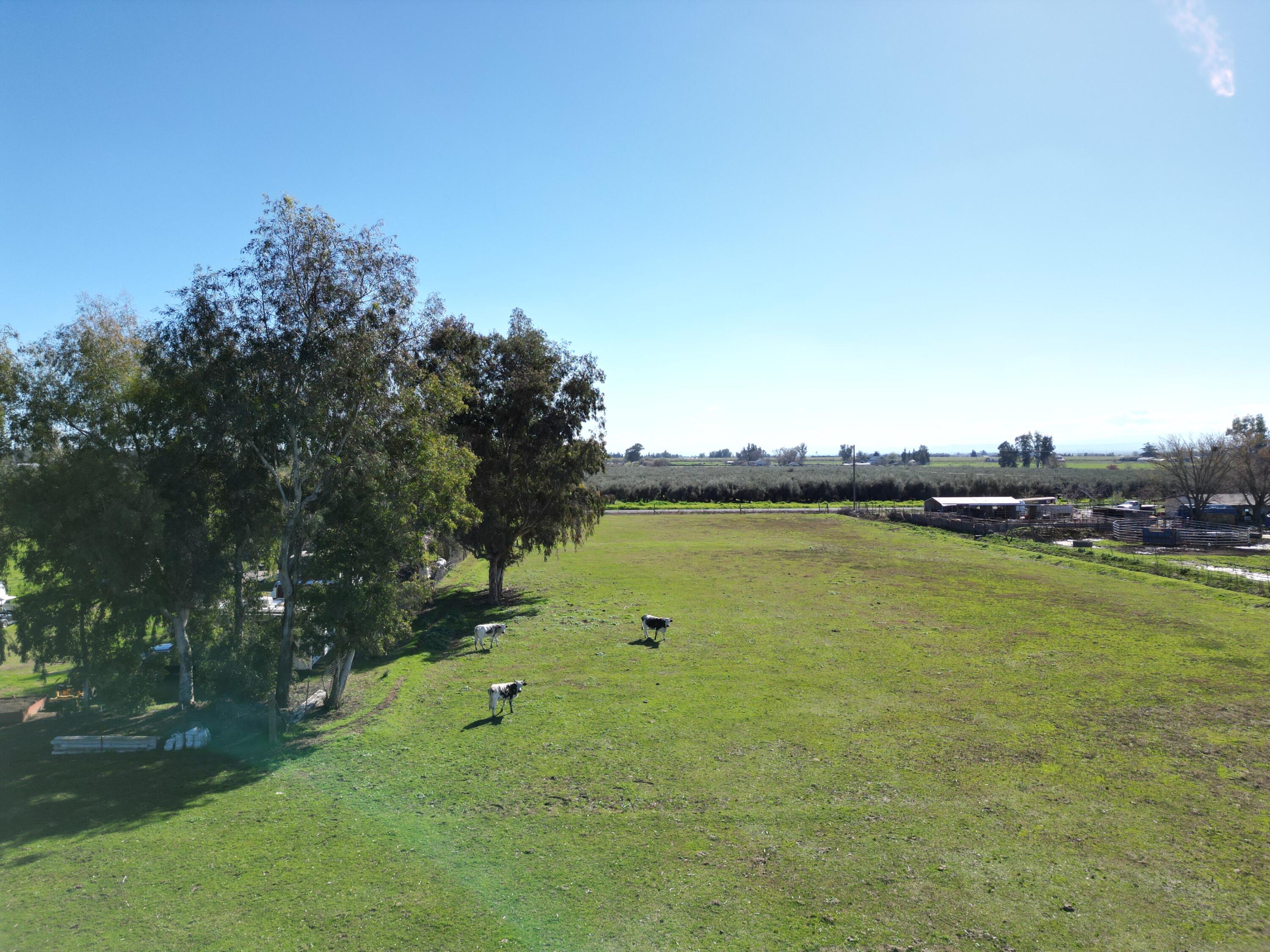 main property photo 53