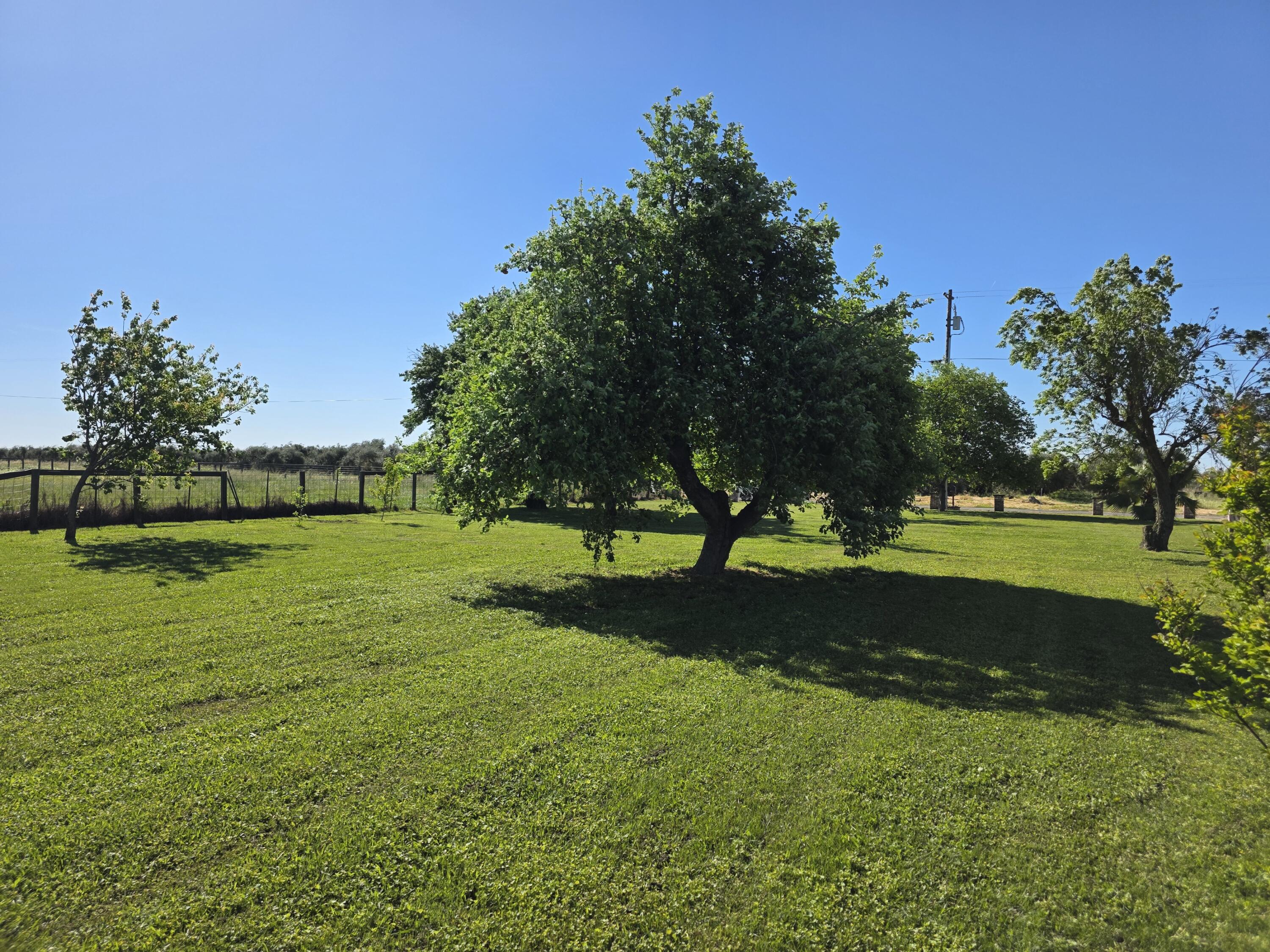 main property photo 65