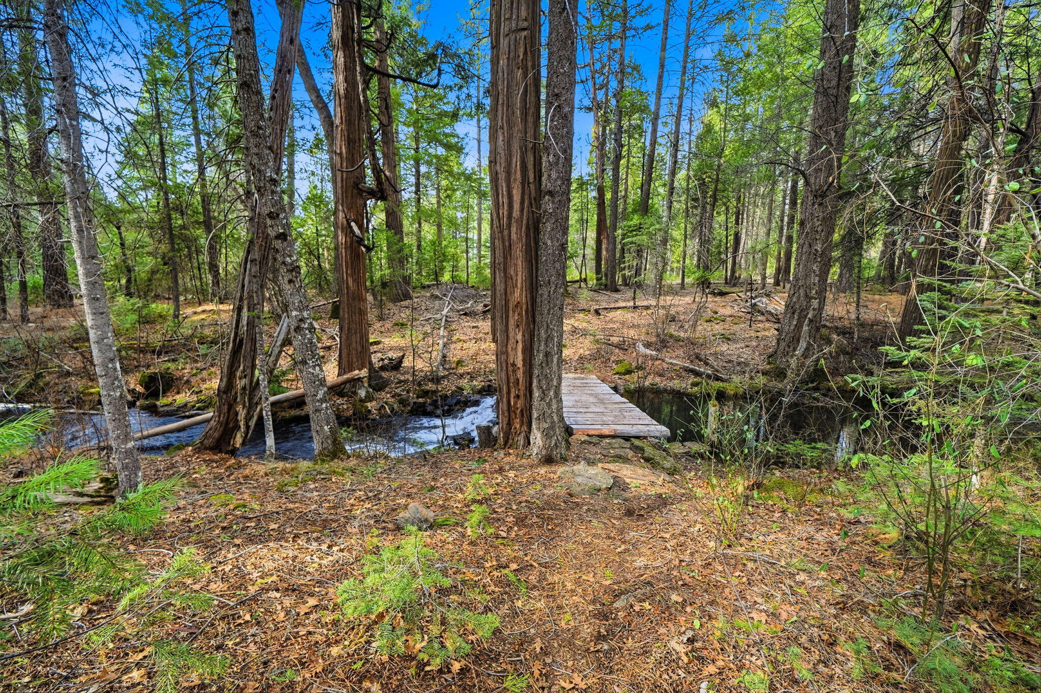 main property photo 44