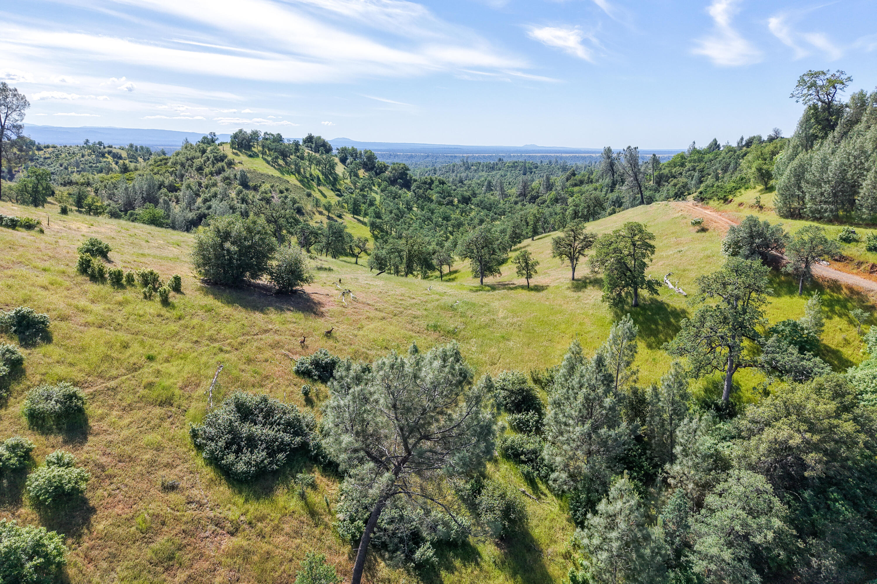 main property photo 106