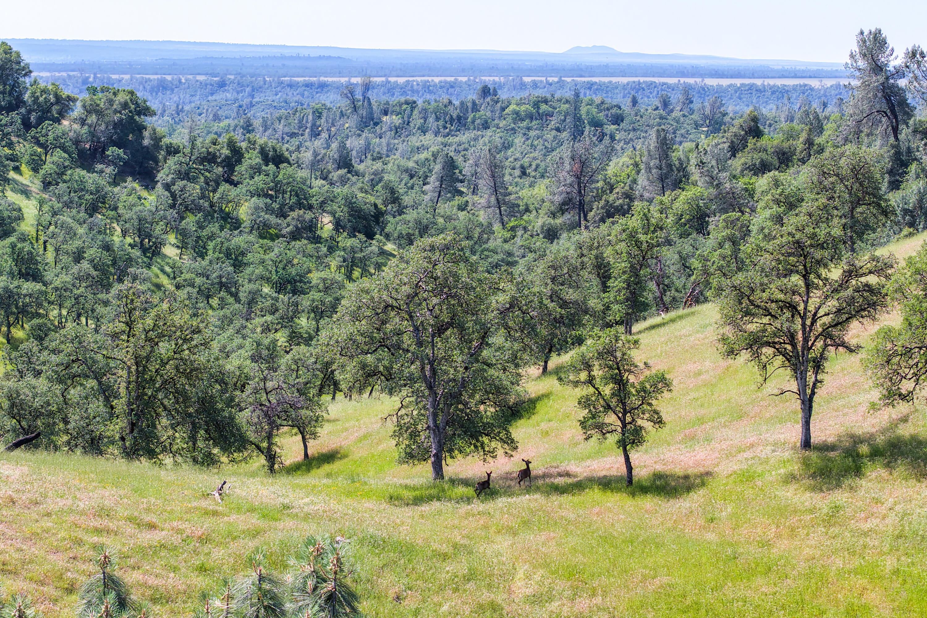 main property photo 108