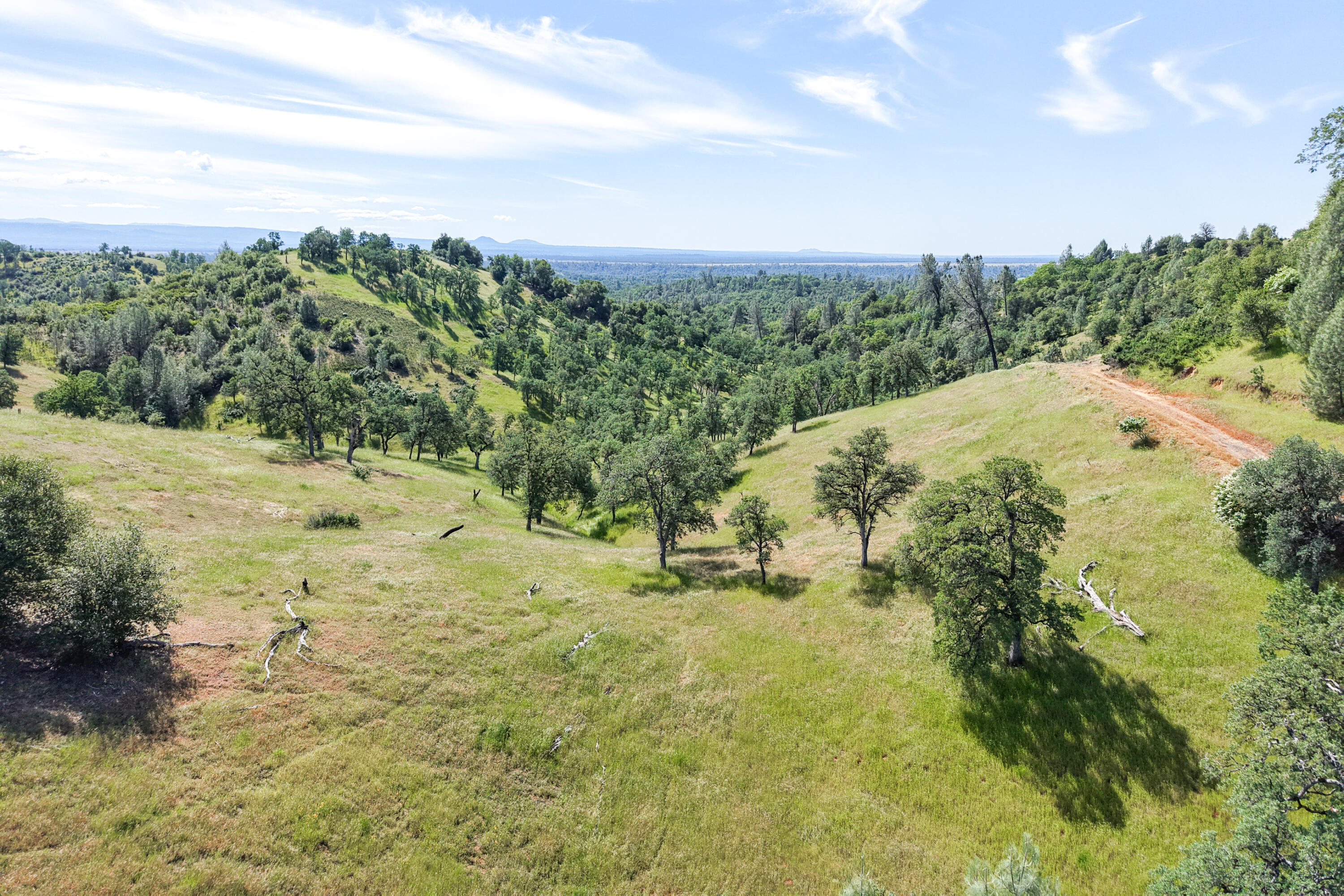 main property photo 109
