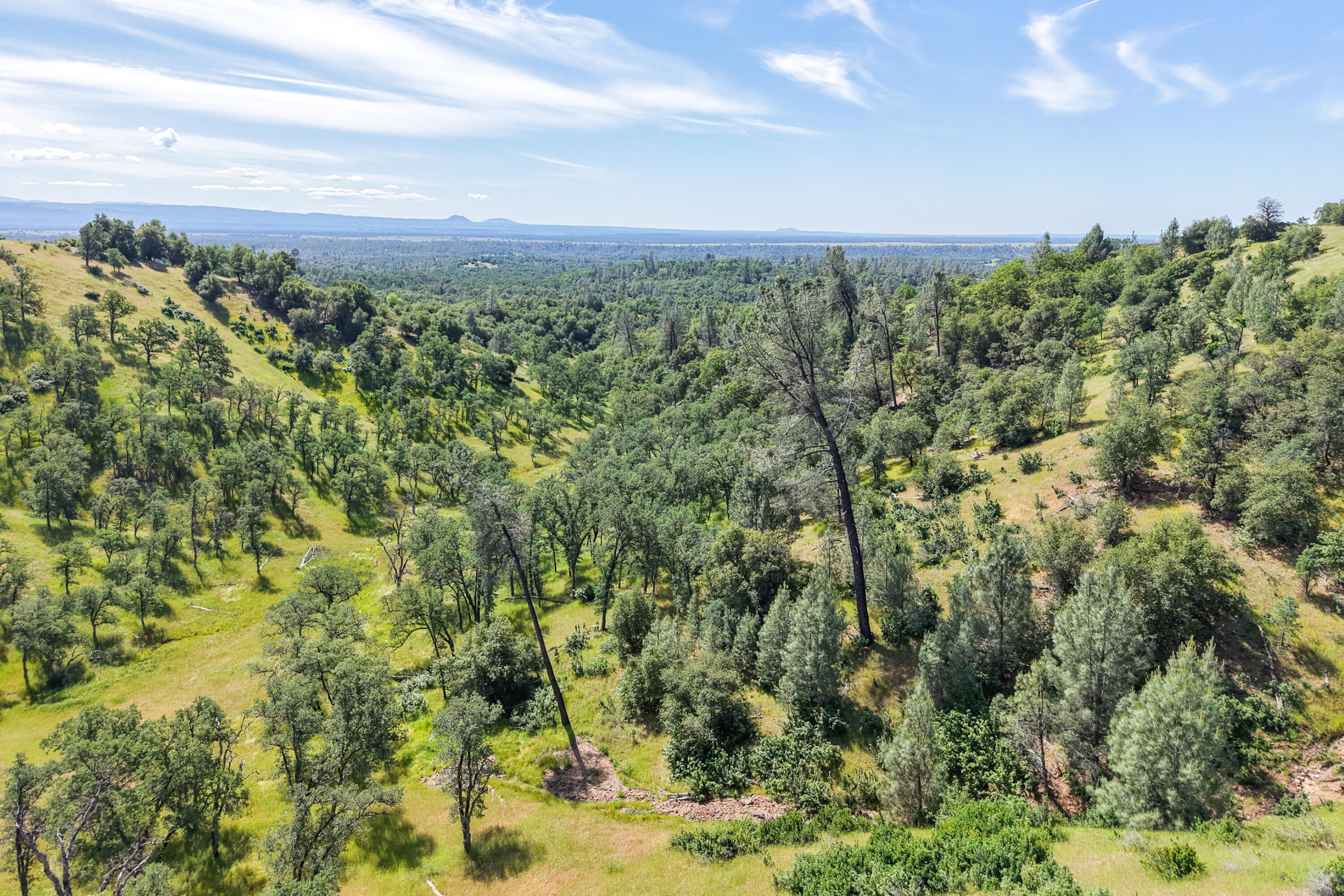 main property photo 111