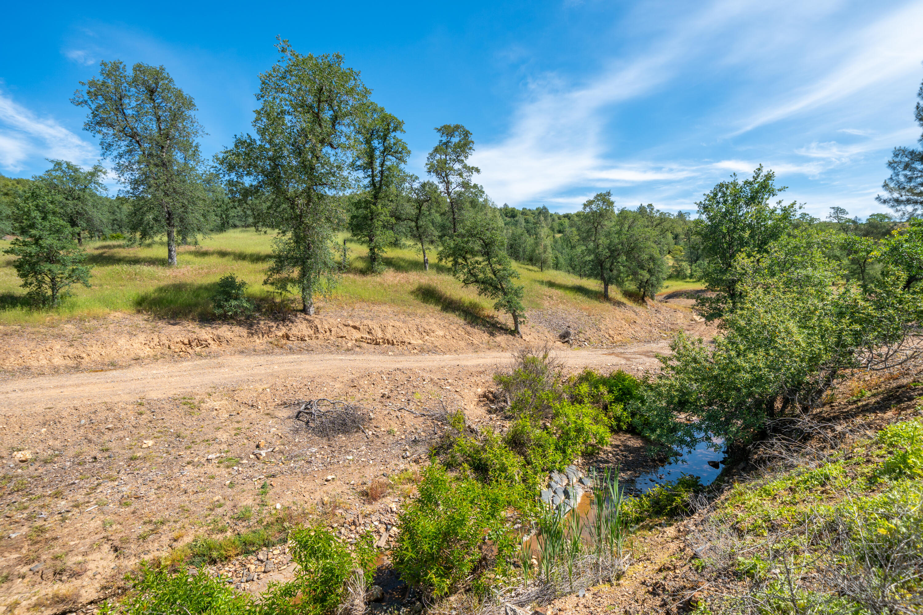 main property photo 58