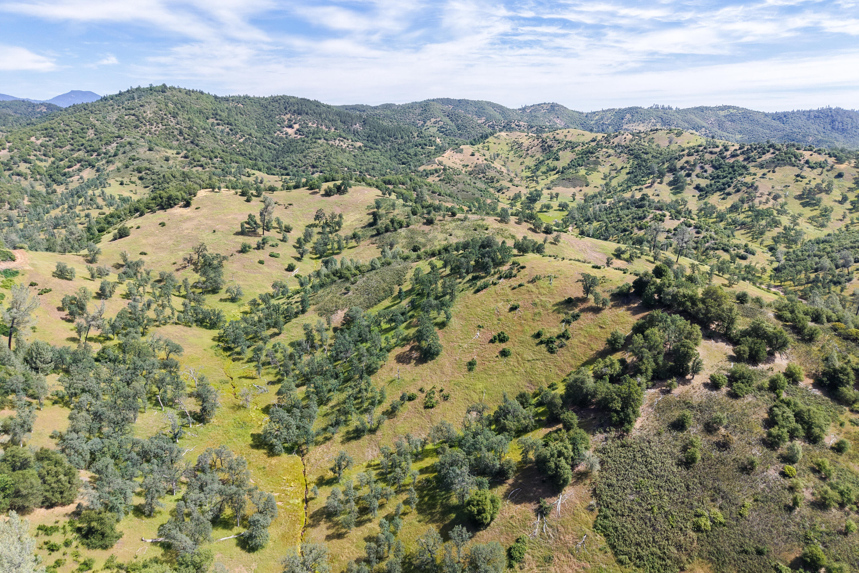 main property photo 72