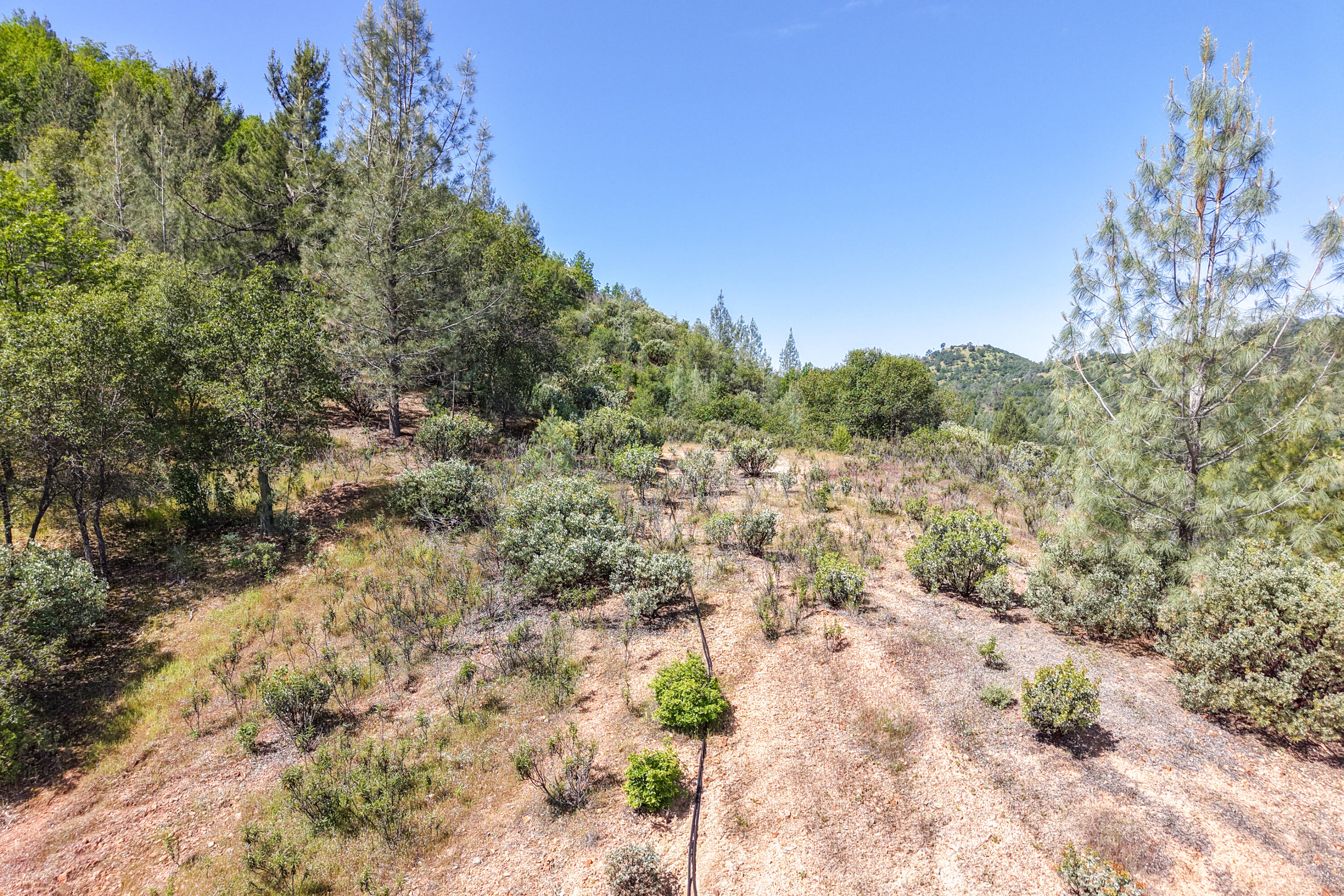 main property photo 94