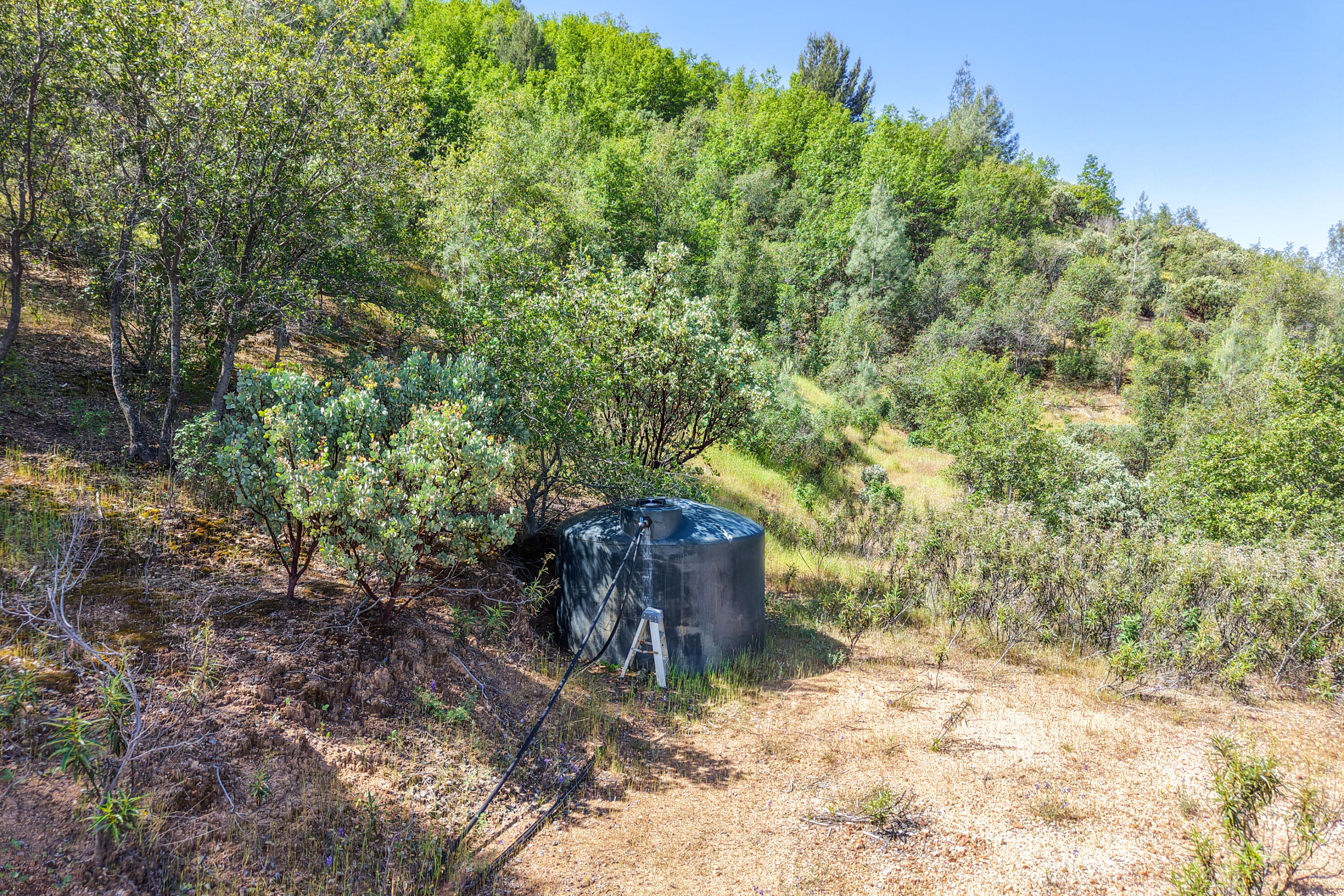 main property photo 95