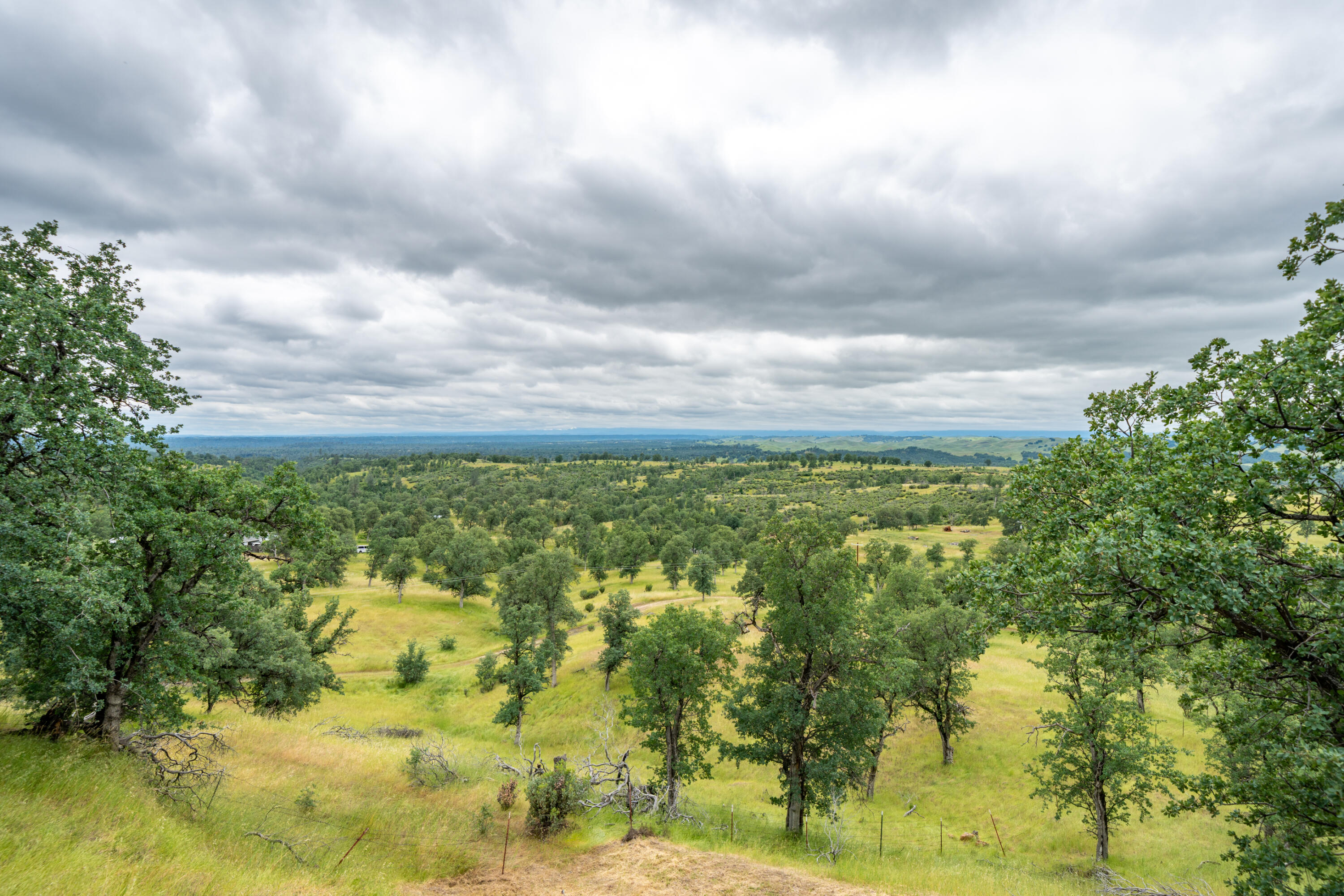 main property photo 51