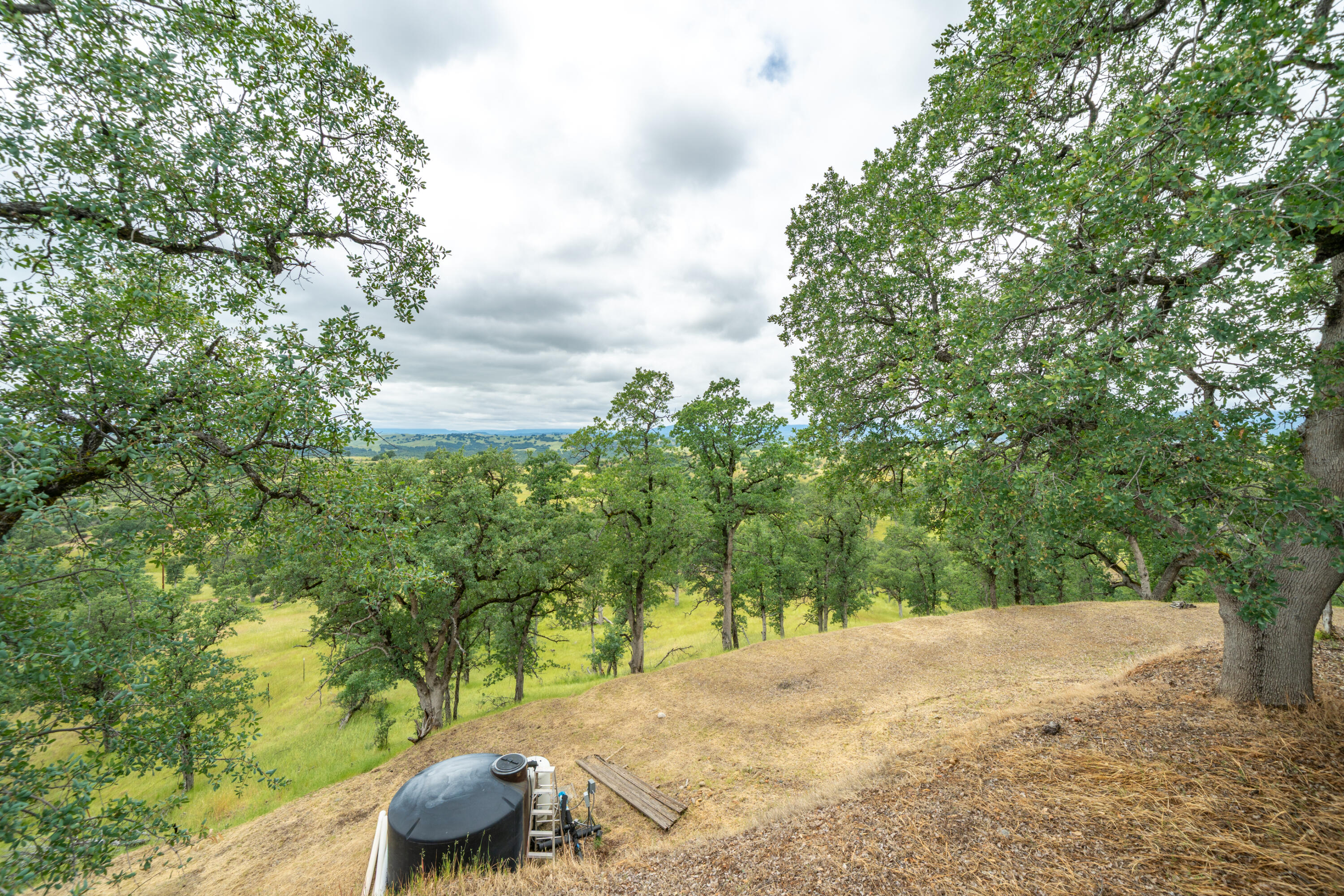 main property photo 54