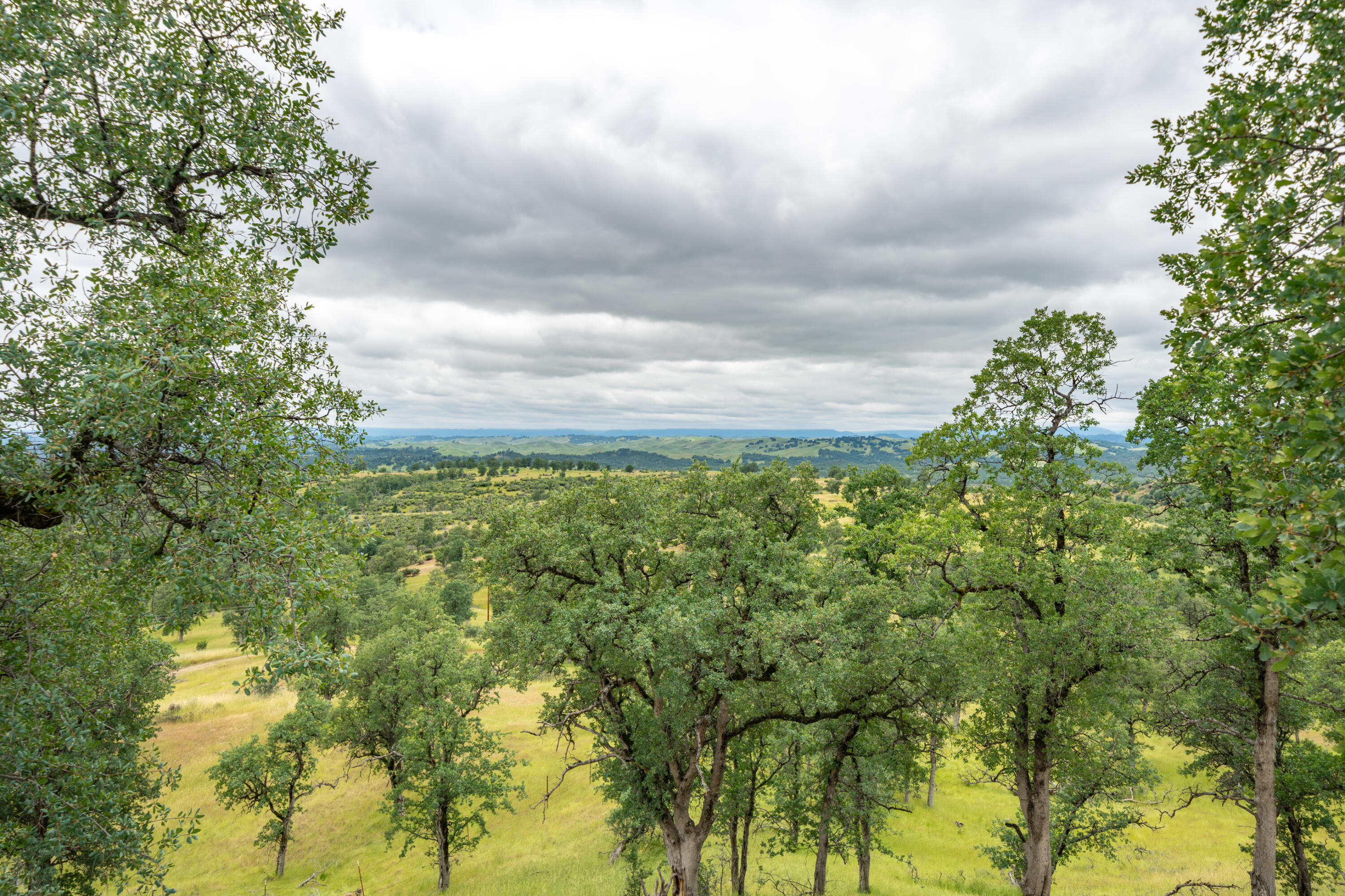 main property photo 58