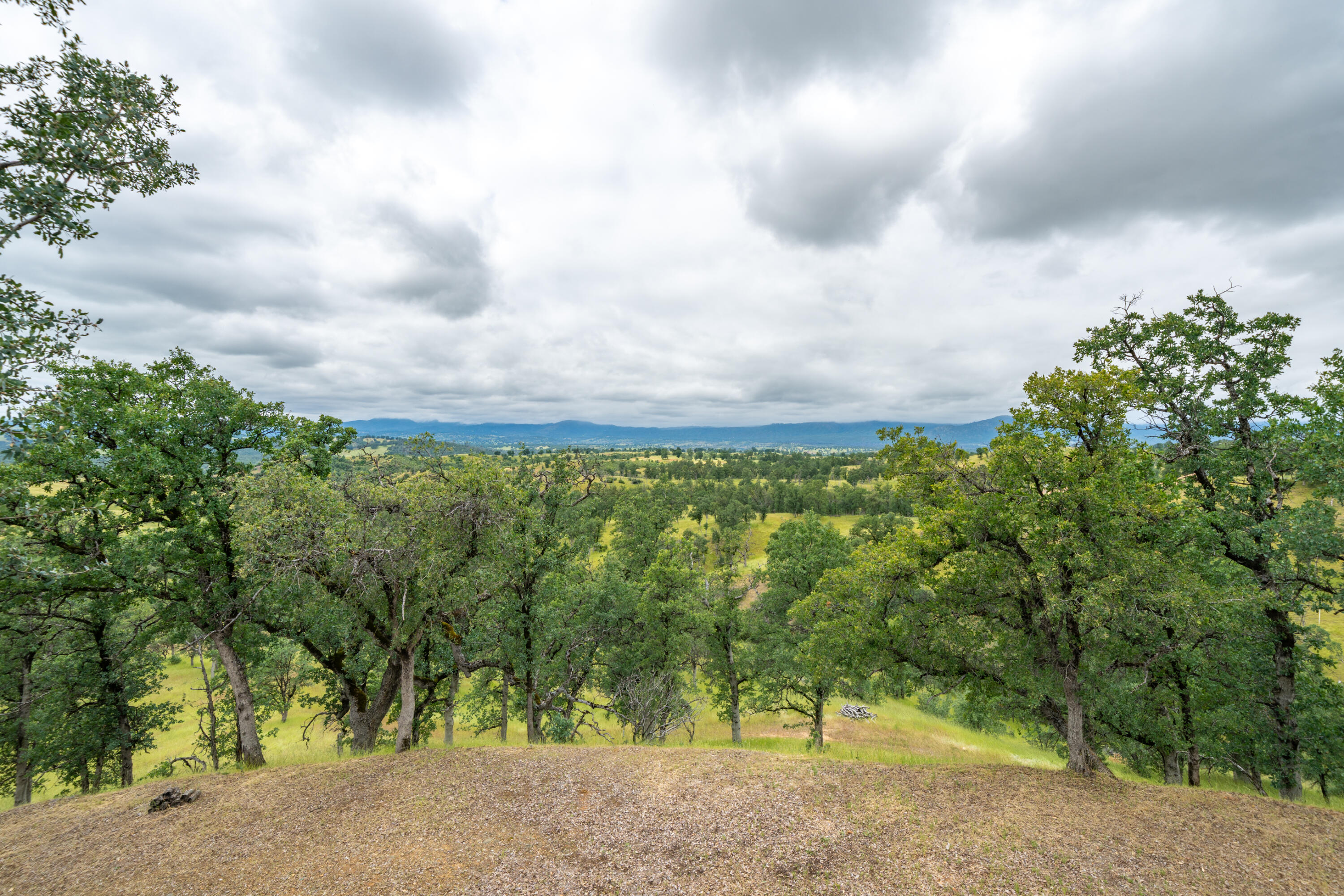 main property photo 59