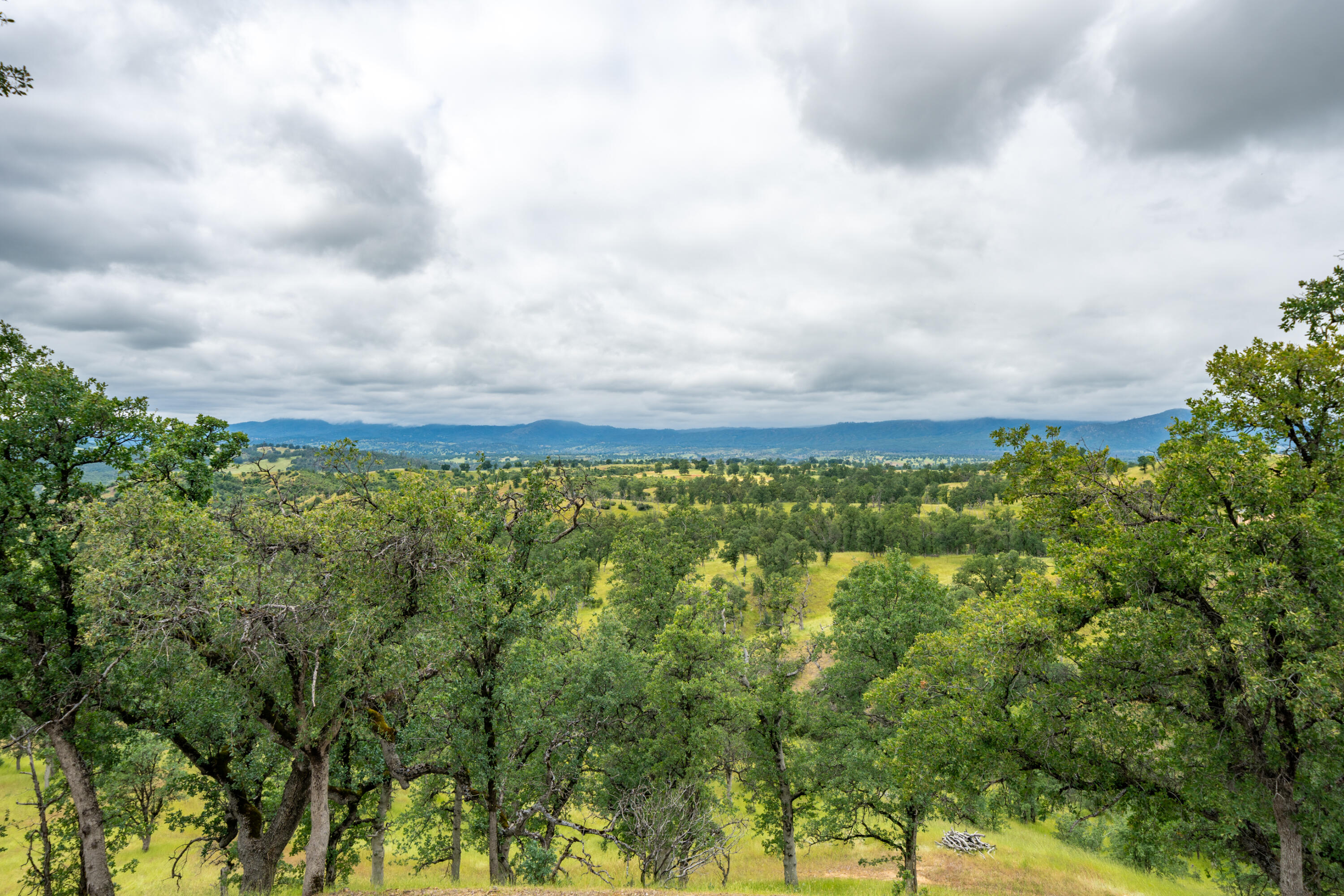 main property photo 60