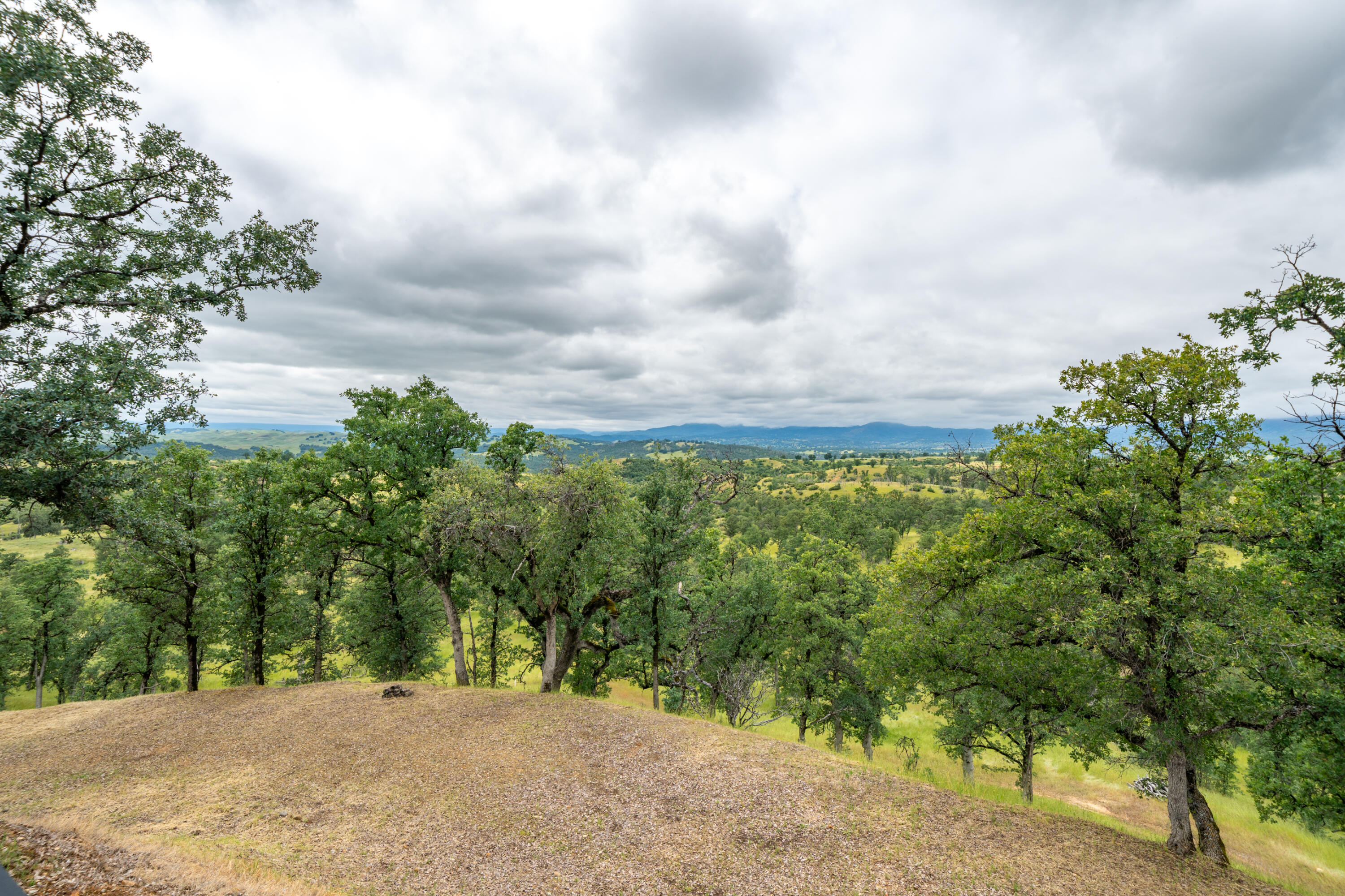 main property photo 61