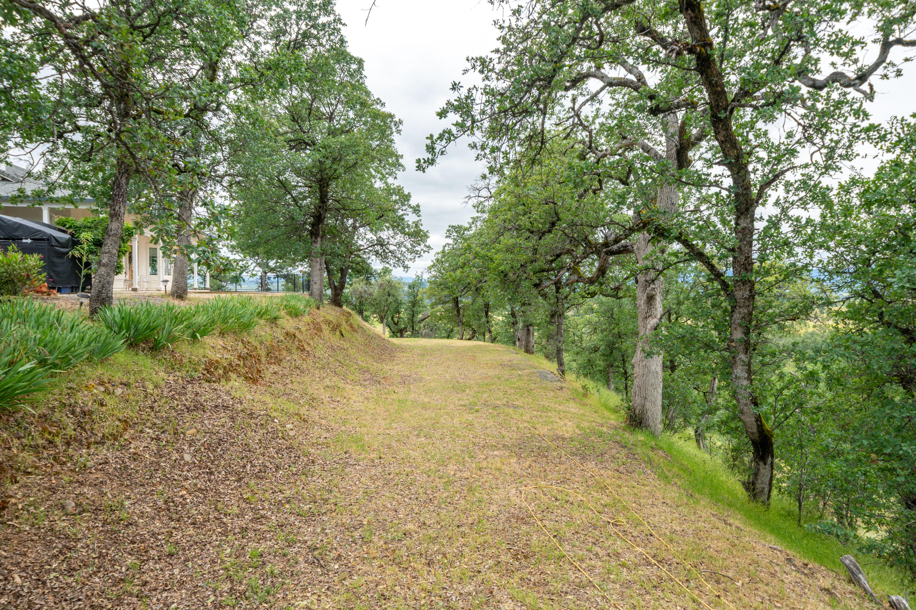 main property photo 62