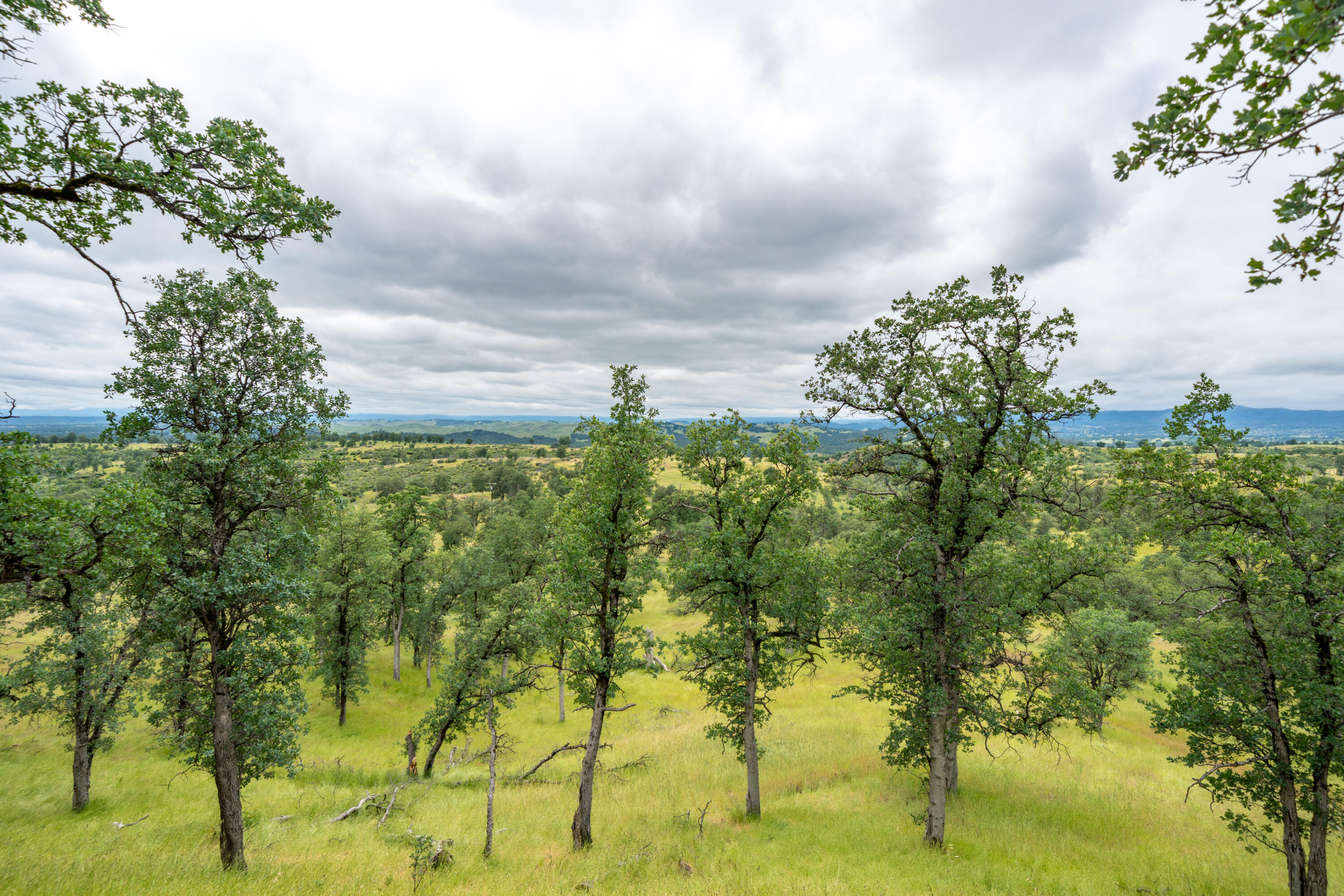 main property photo 65