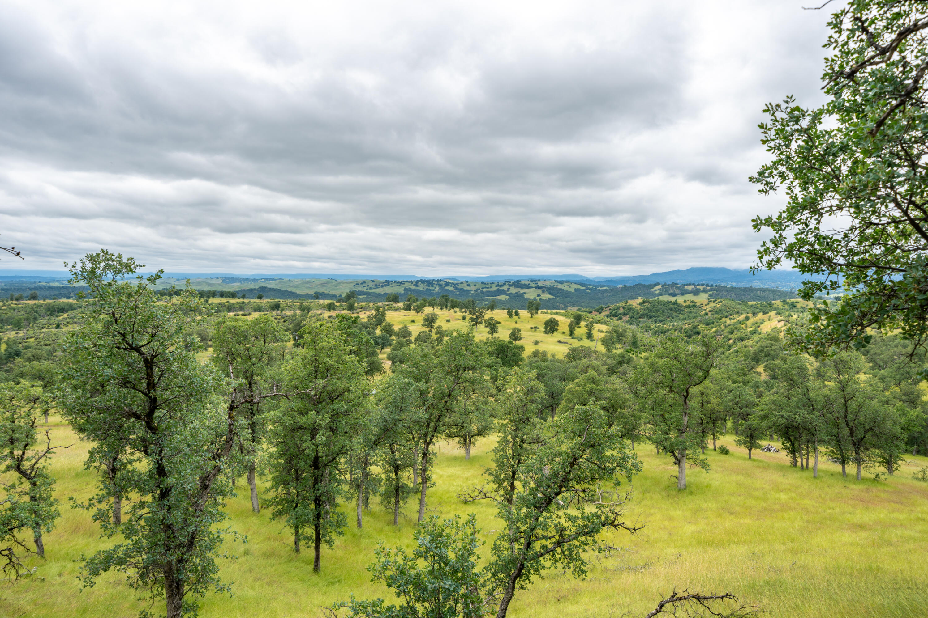 main property photo 66