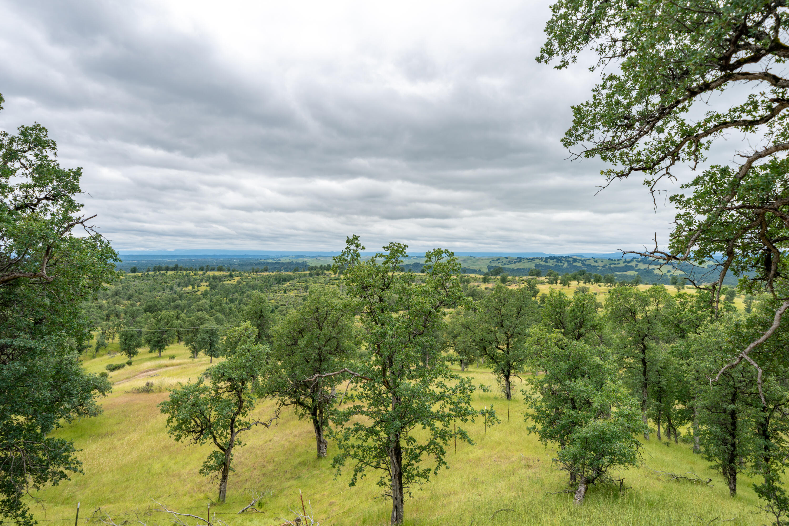 main property photo 68