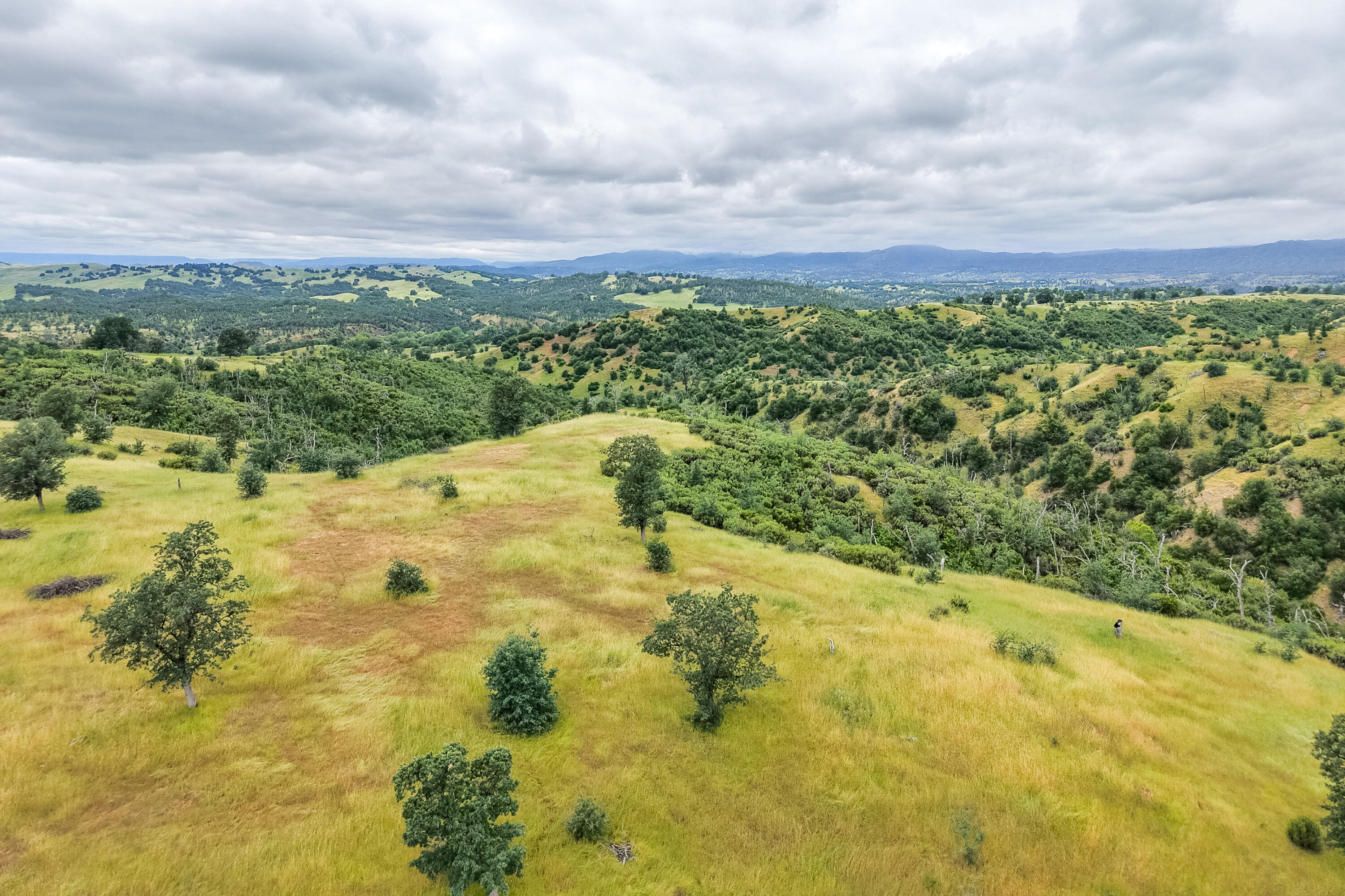 main property photo 82