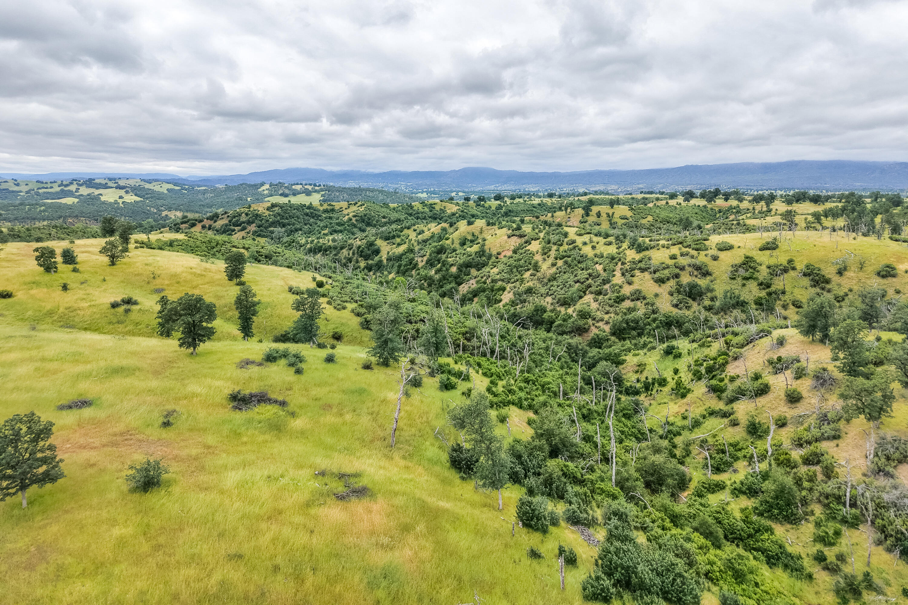 main property photo 83