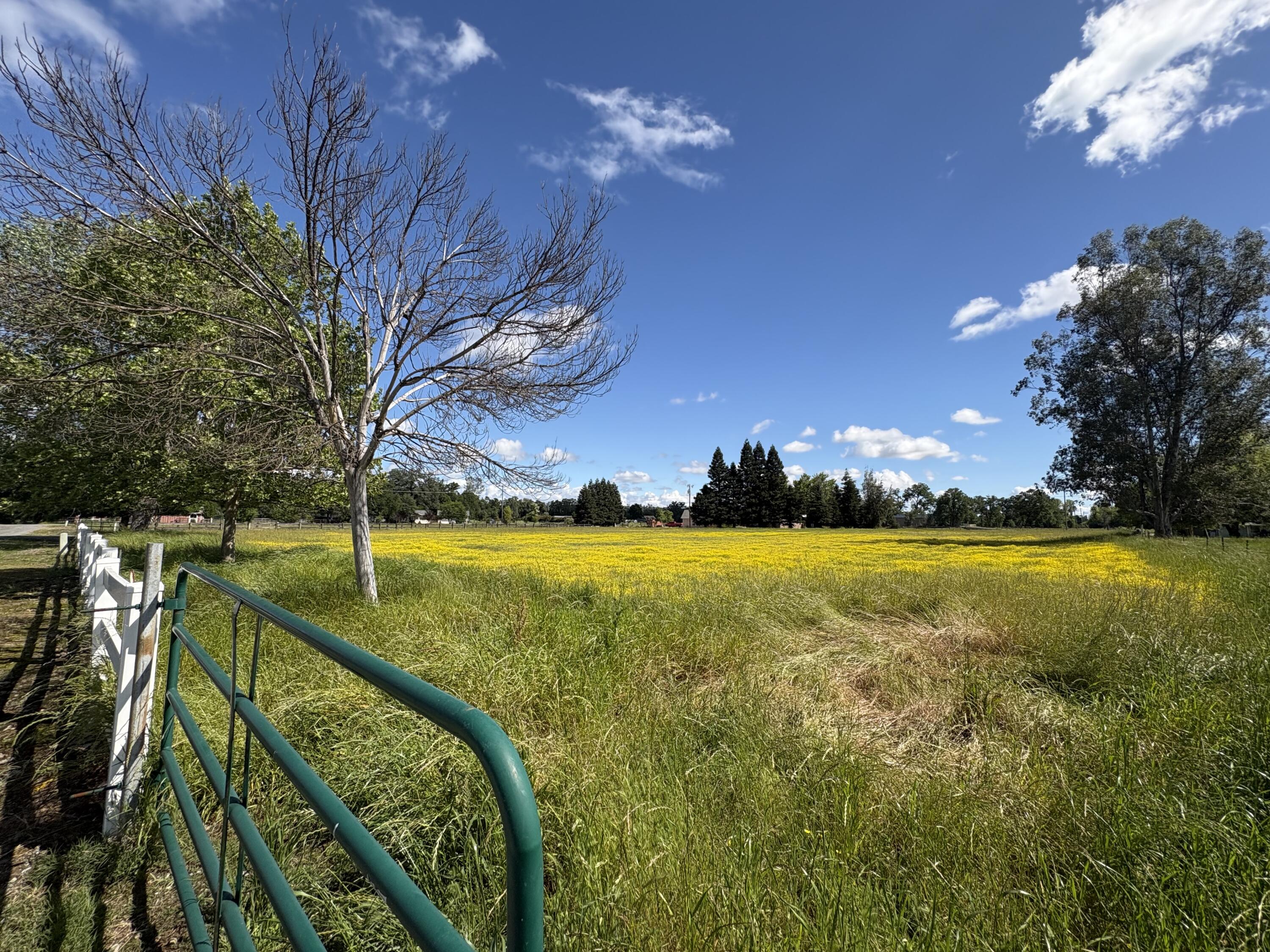 main property photo 48