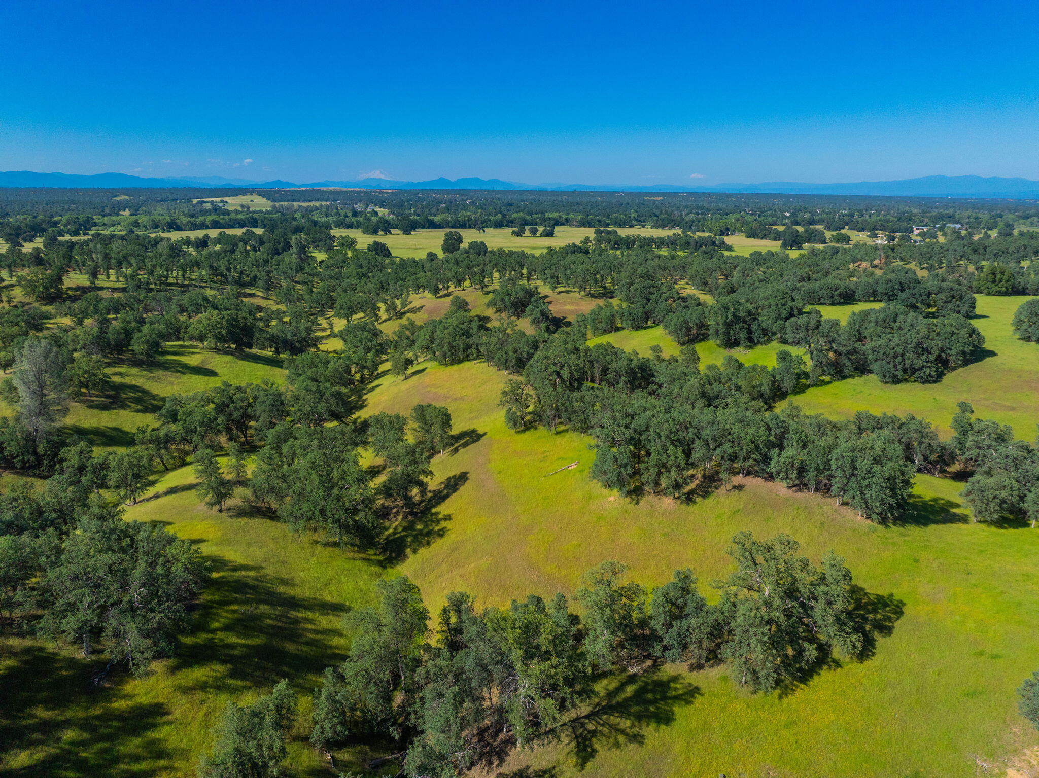 main property photo 64
