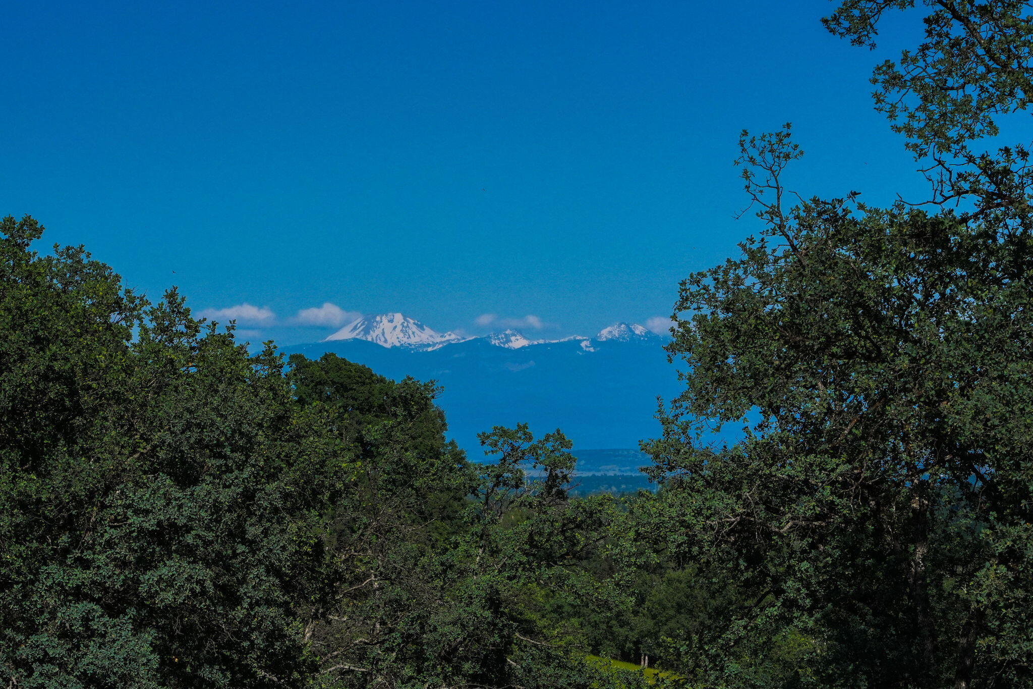 main property photo 68