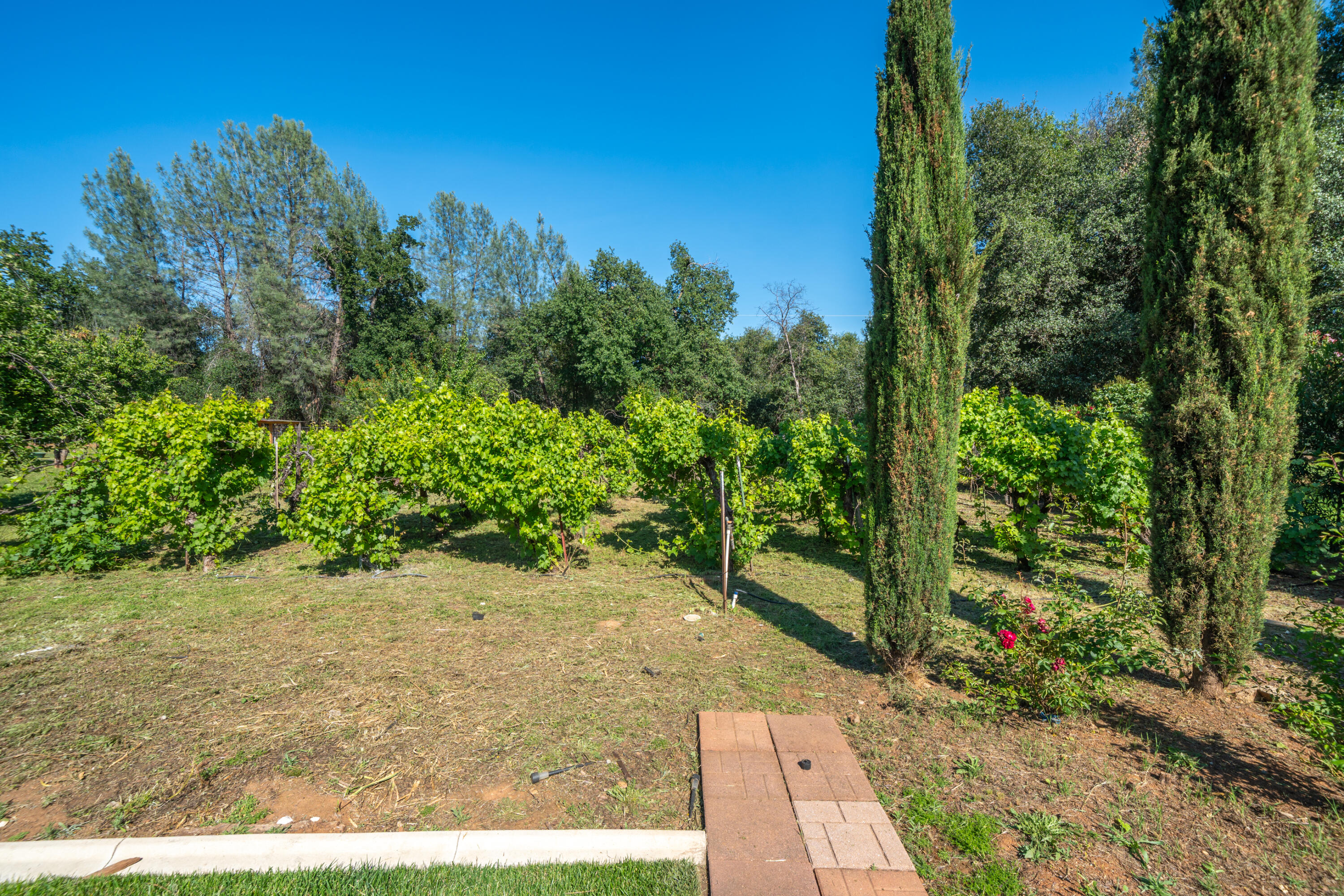 main property photo 51