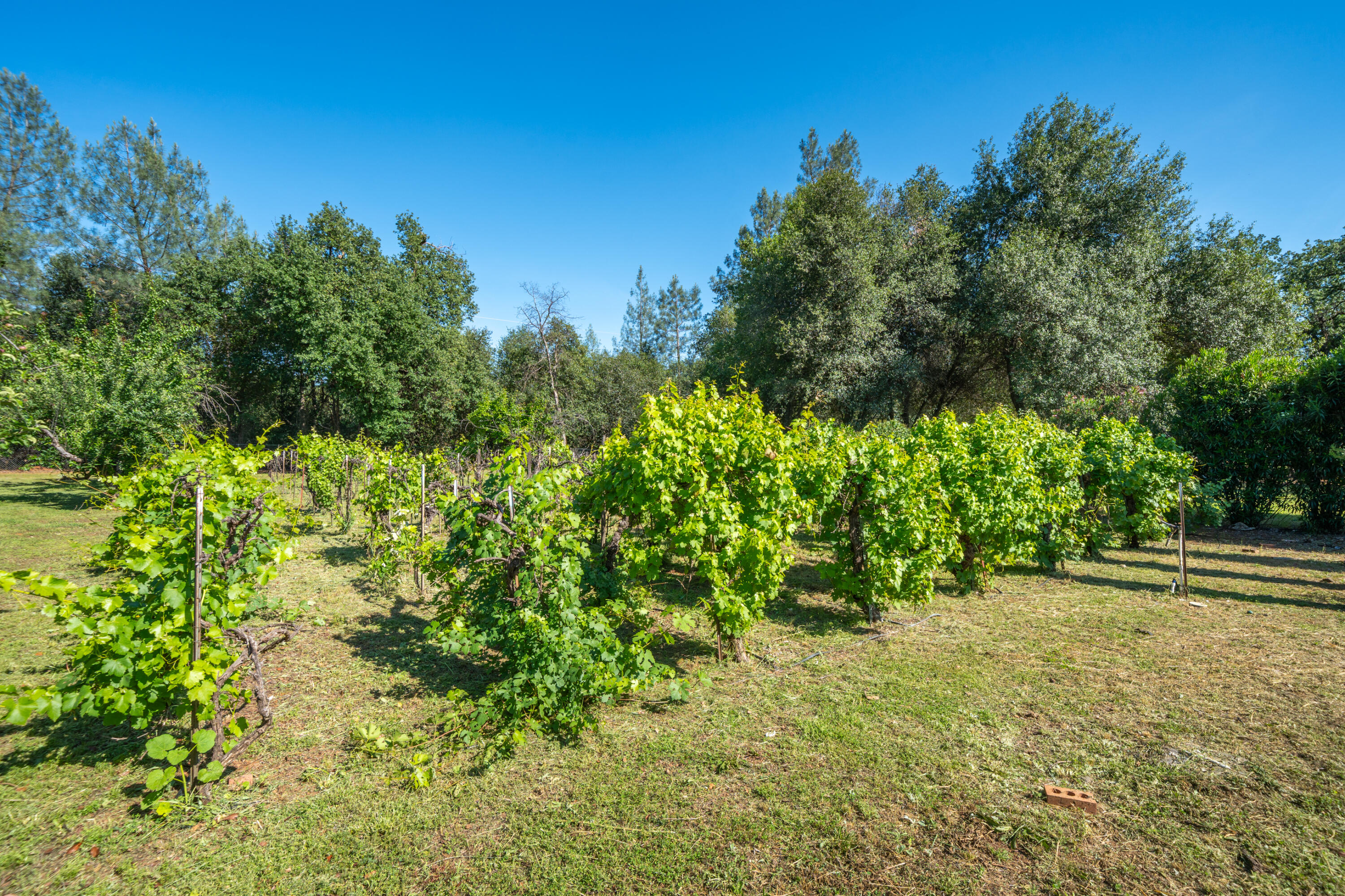 main property photo 52