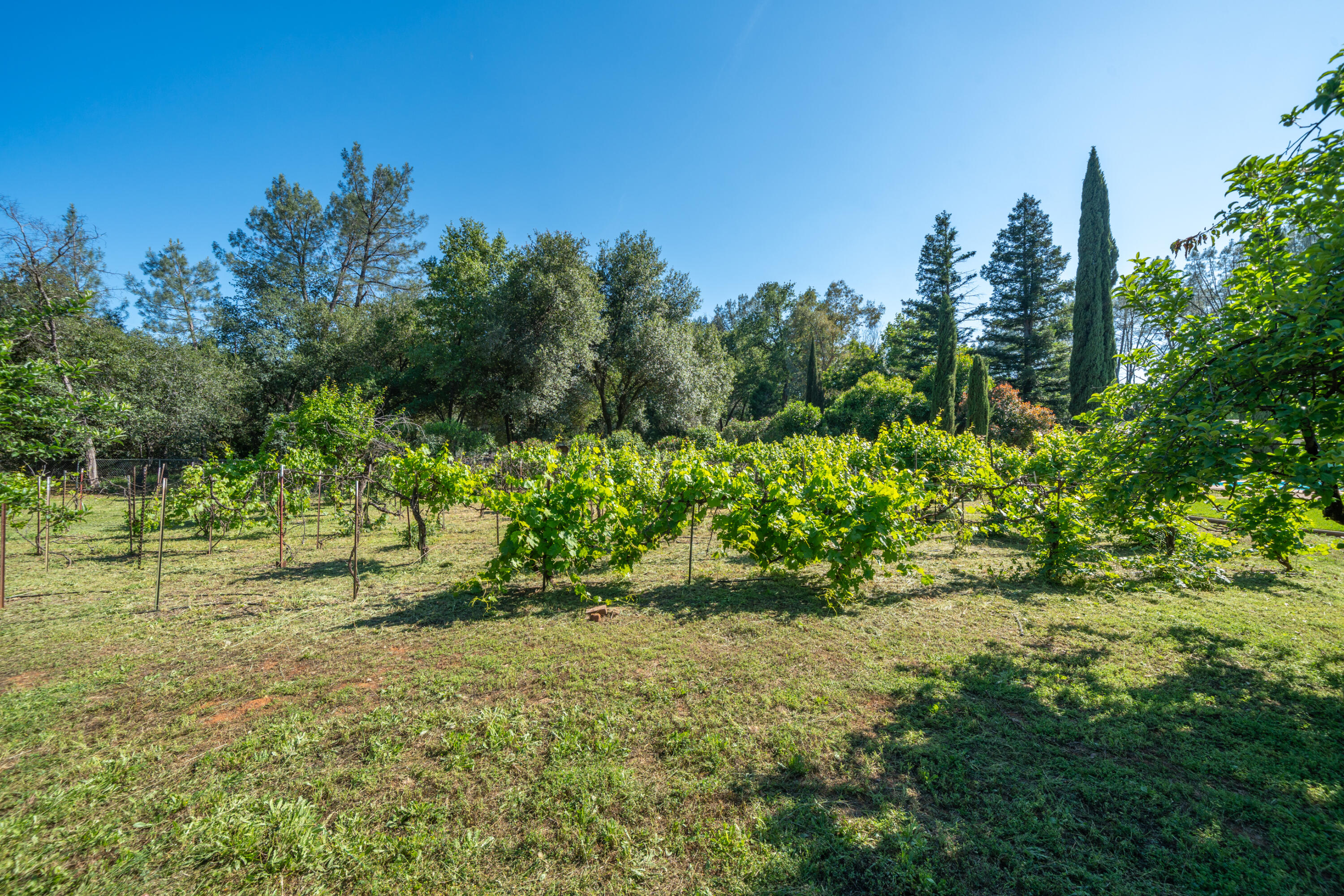 main property photo 53